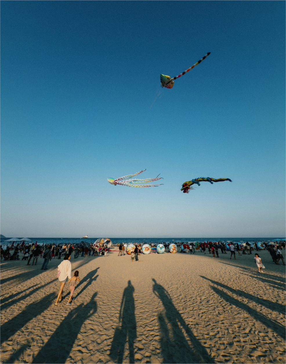 Untitled-3 (3).png