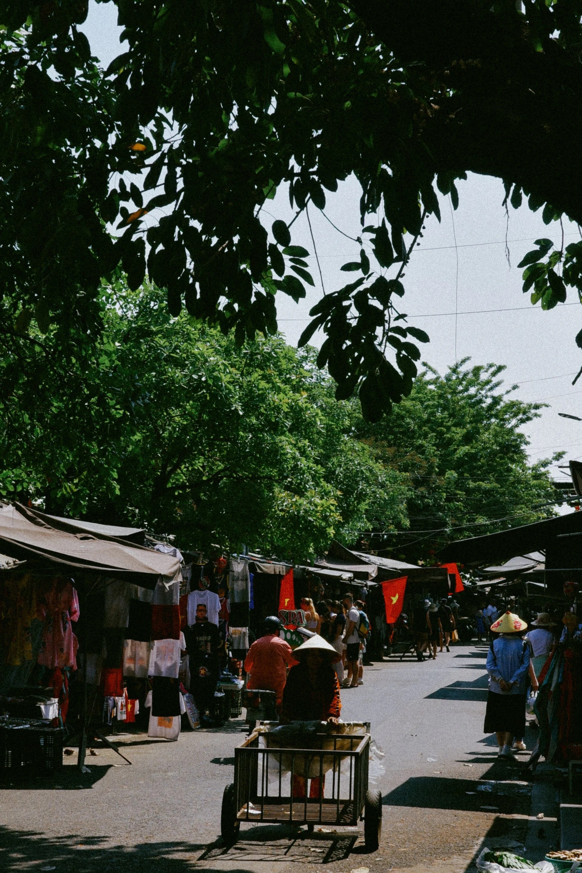R0001374-2.jpg