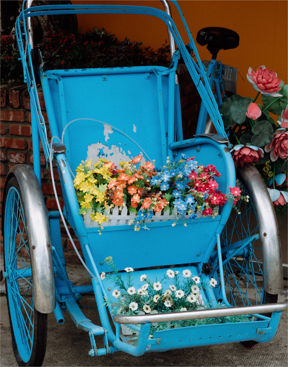 Untitled-3 (5).png