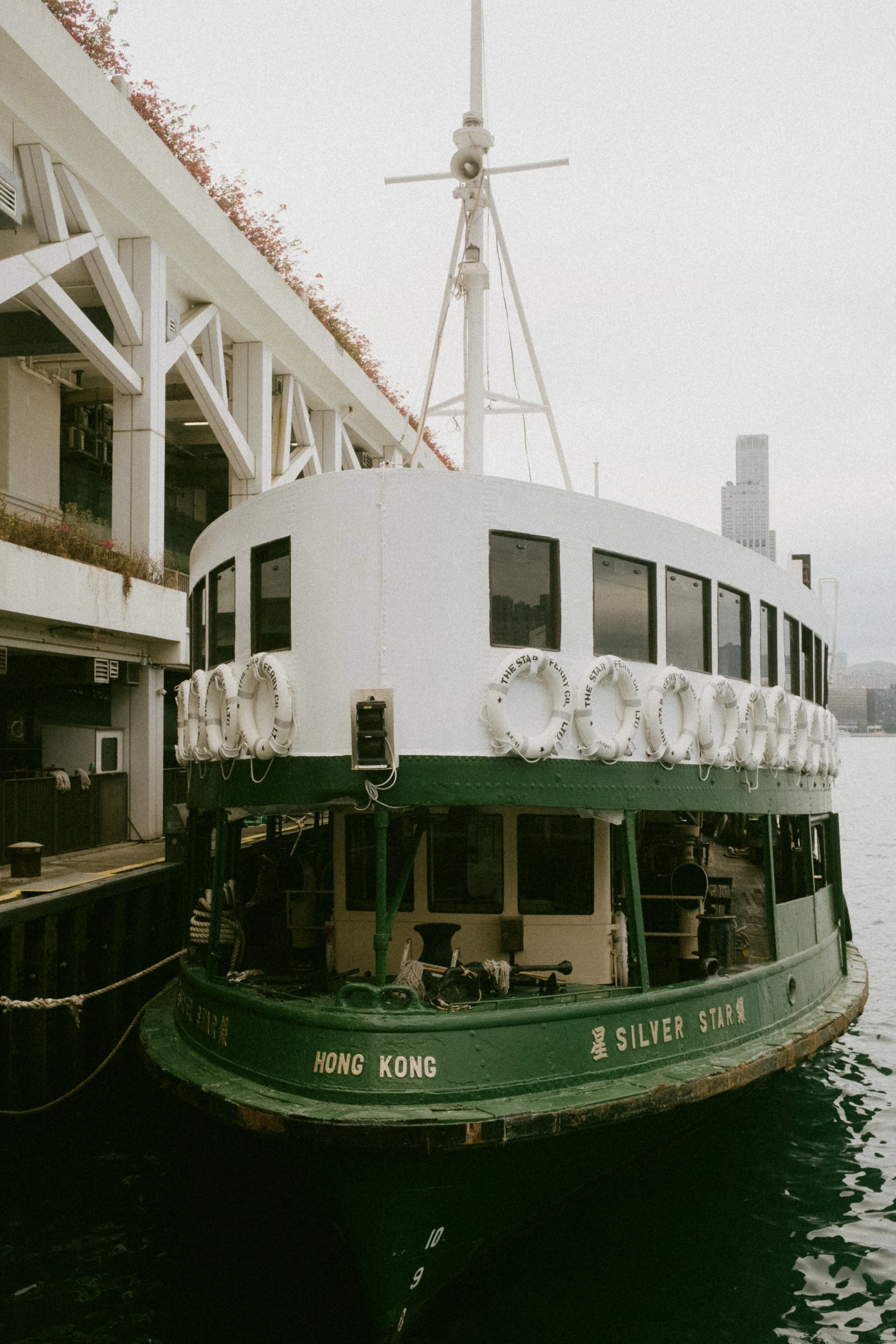 _DSF7143.jpg