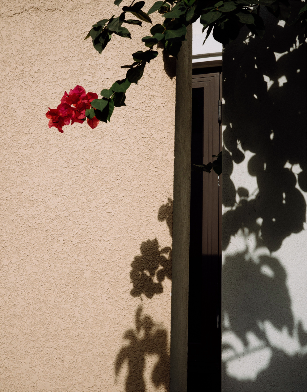 Untitled-4 (2).png