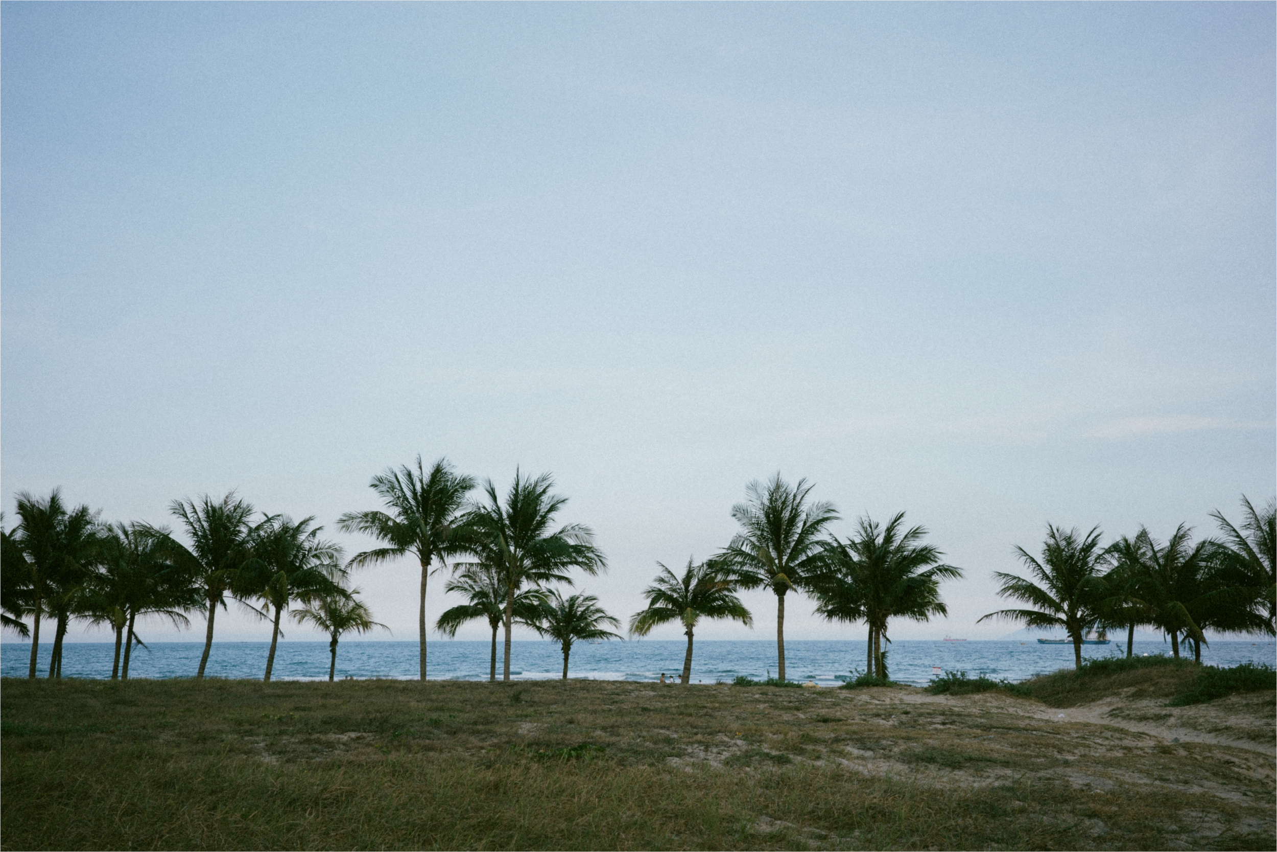 Landscape post.png