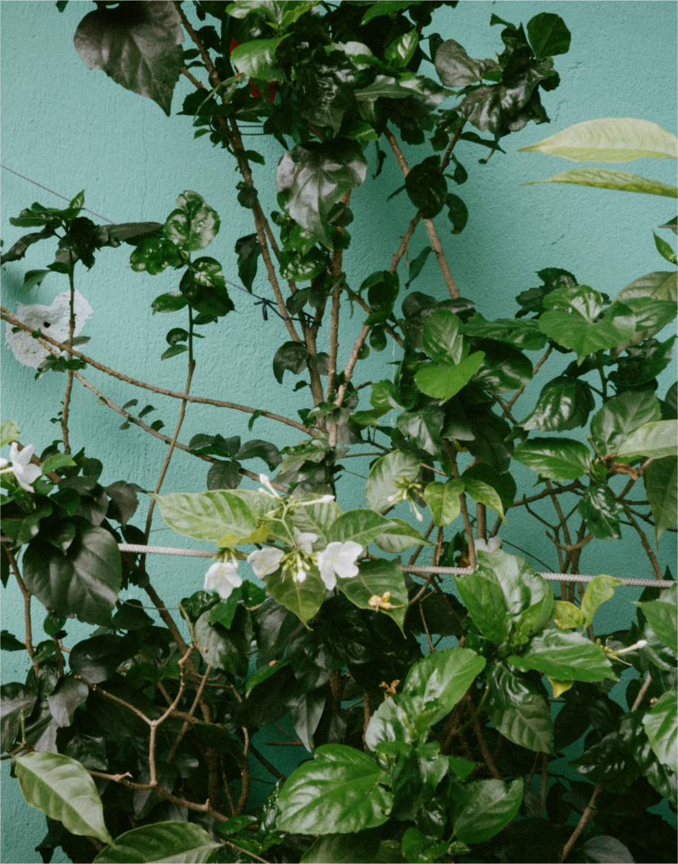 Untitled-4 (6).png