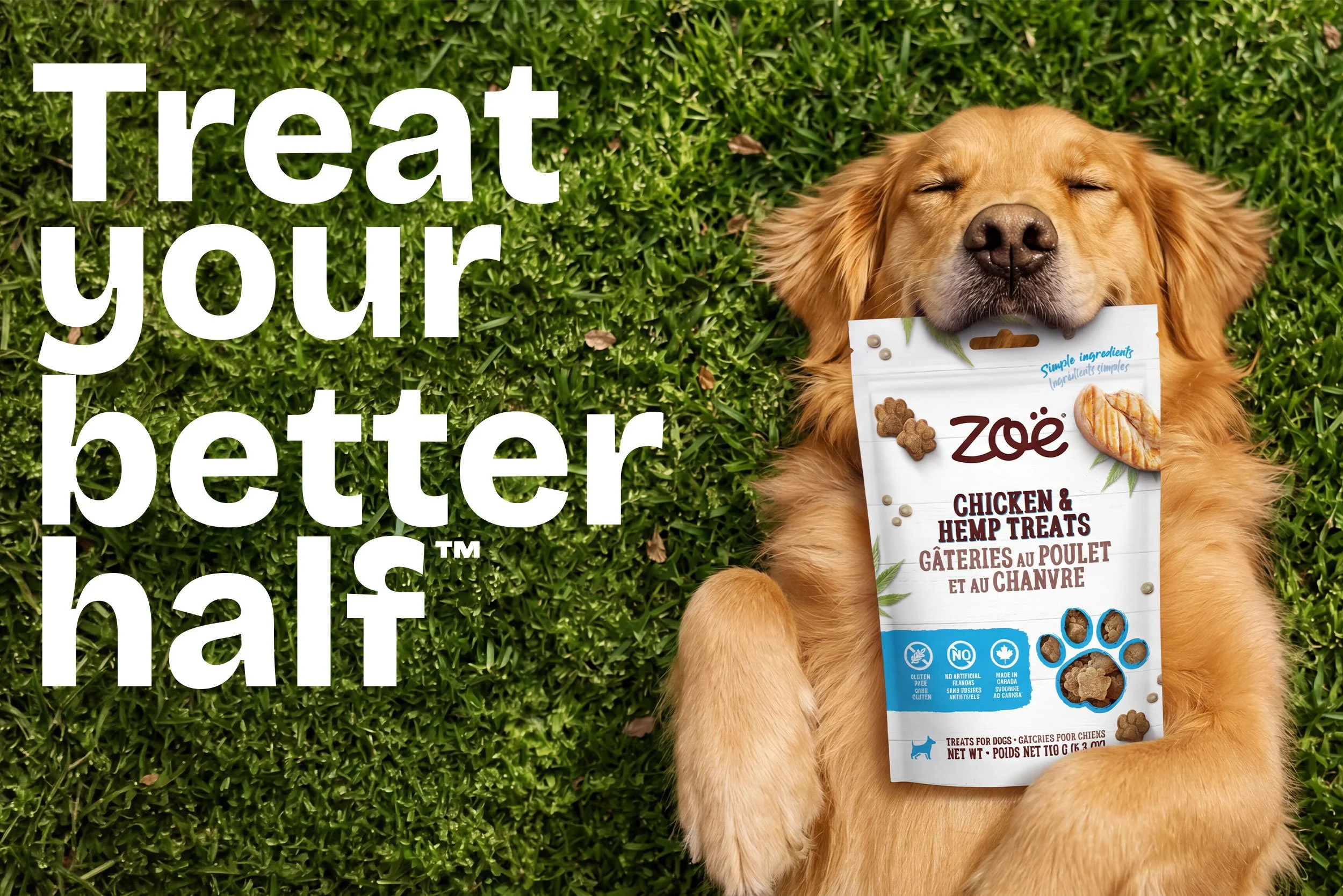 Website-ZoeforPets-golden-retriever-chicken-hemp-dog-treats-package.jpg