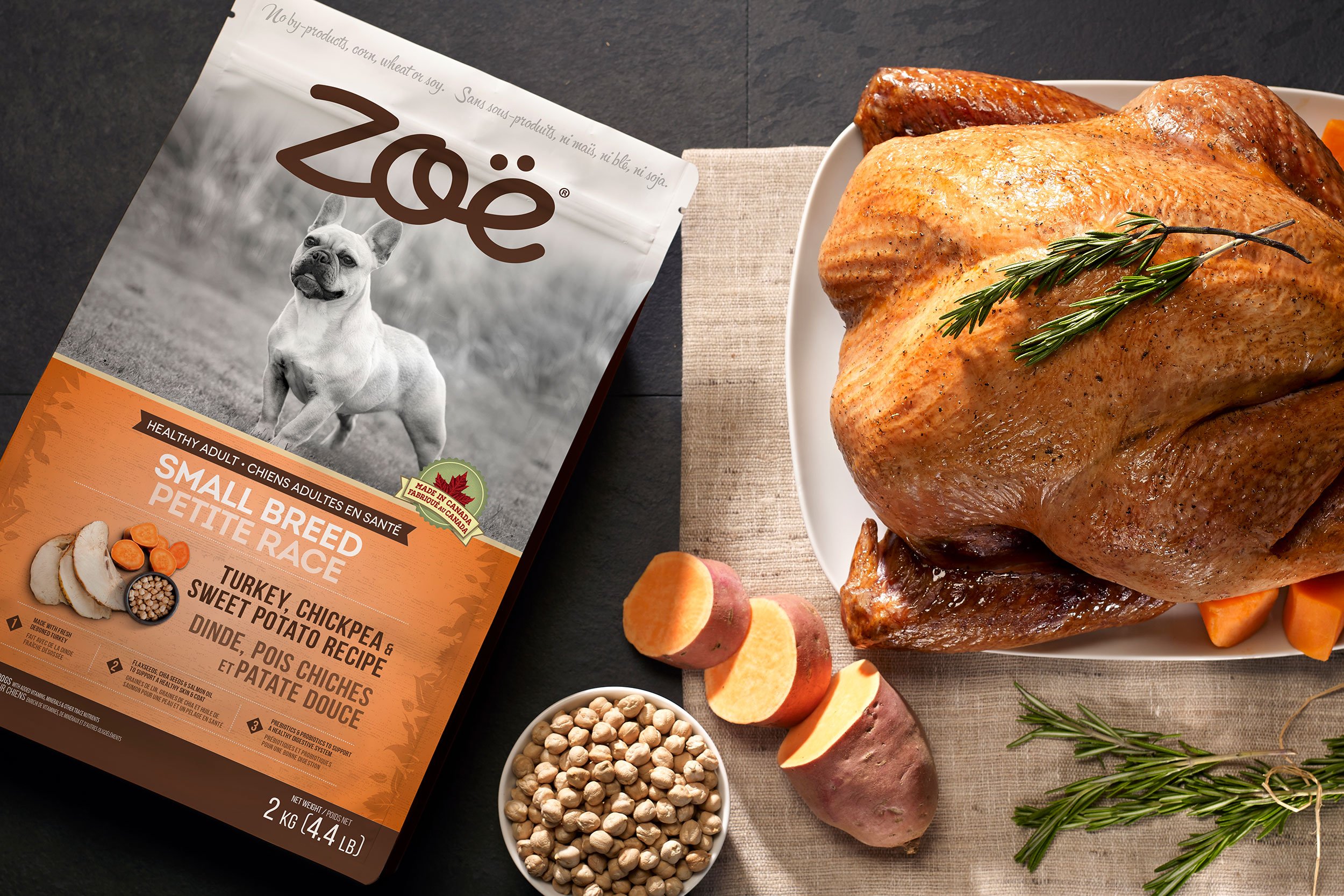 Website-ZoeforPets_2023_06.jpg