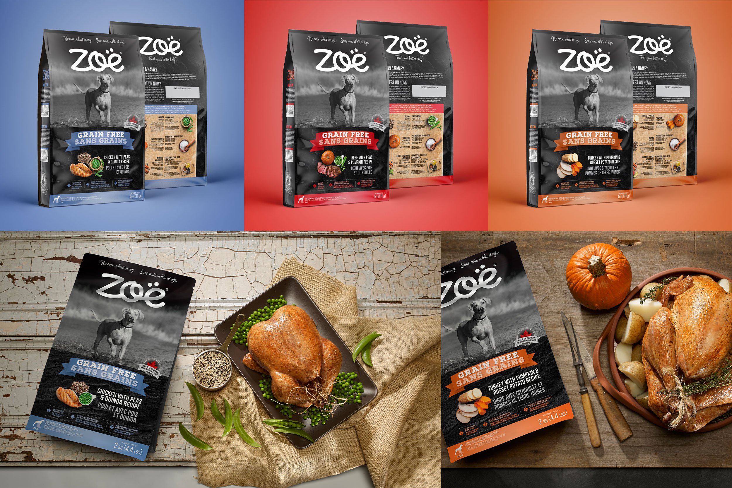 Website-ZoeforPets_2023_07.jpg