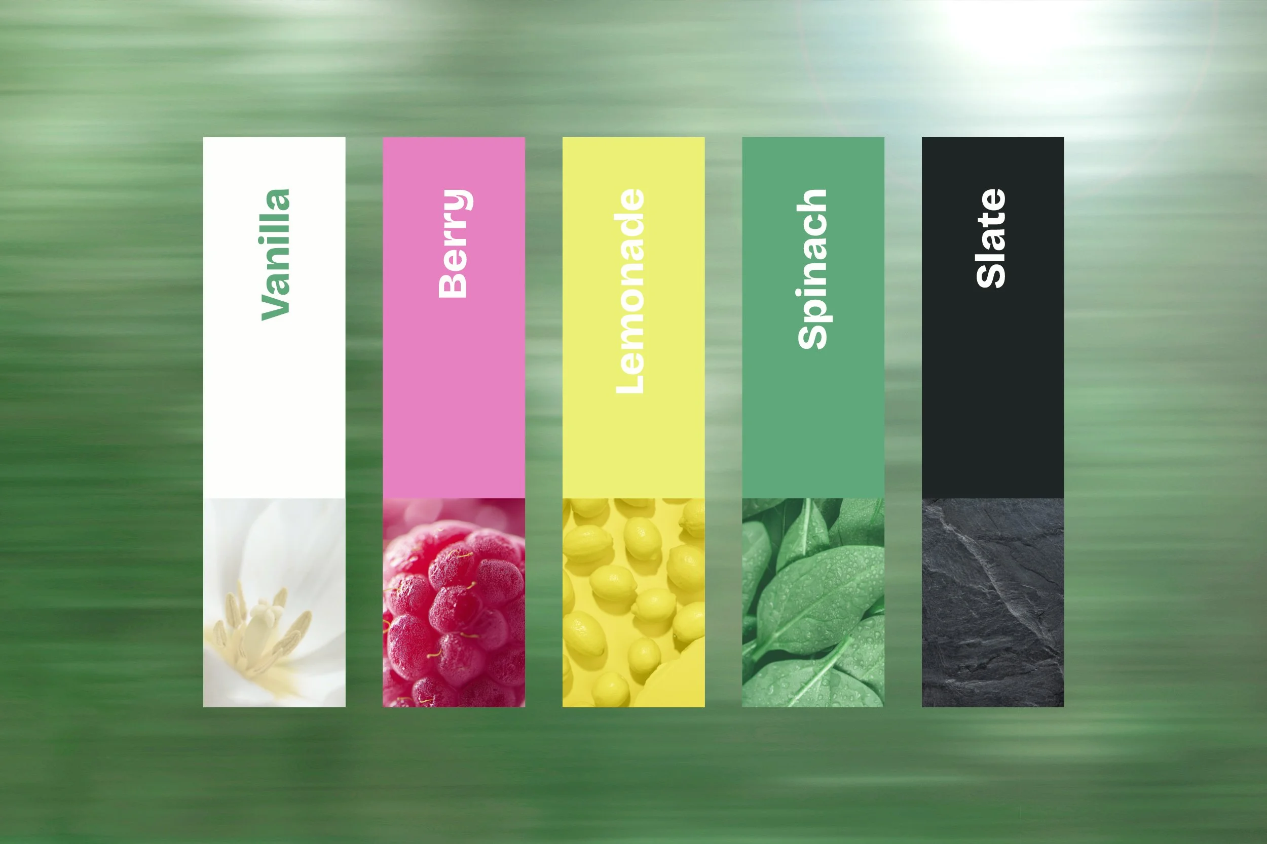 Website-ZoeforPets-flavour-colour-palette-vanilla-berry-lemonade-spinach-slate.jpg