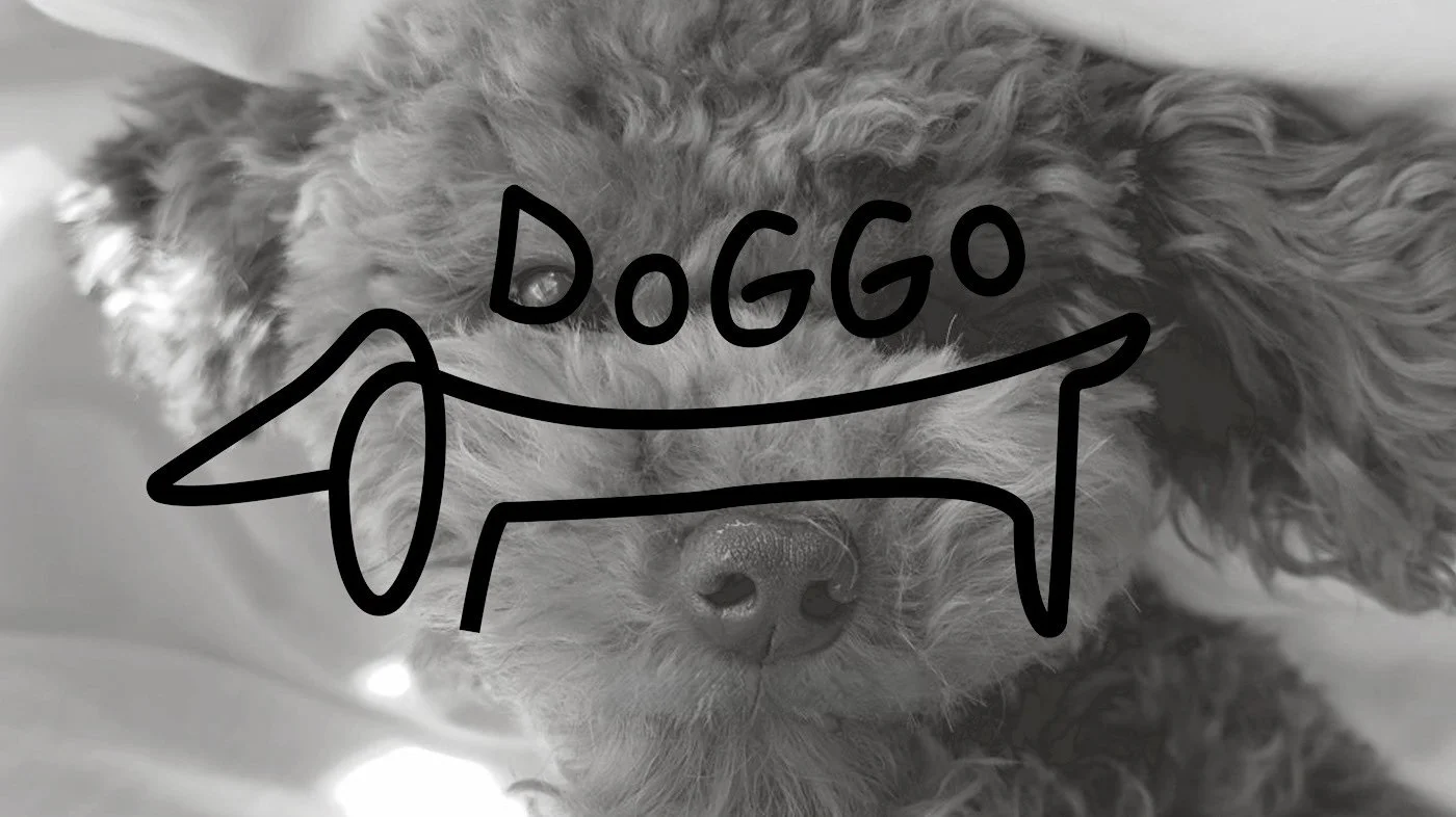 Close-up black and white photo of a curly-haired dog with a doodle of glasses and the word 'DOGO' handwritten over its face.