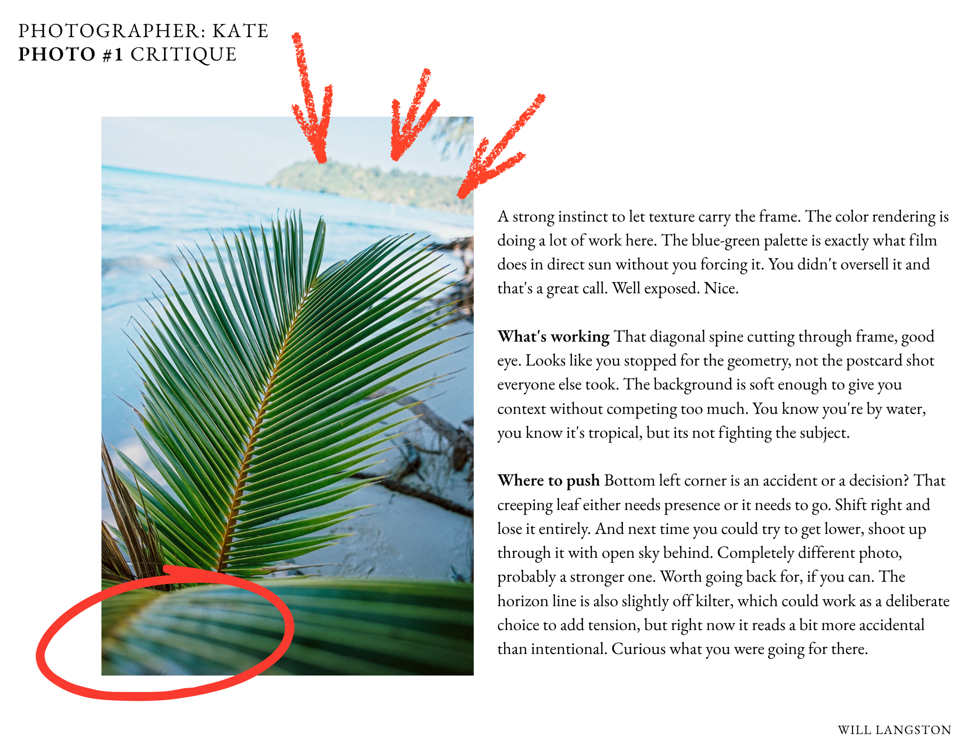 Film photography critique example — Will Langston