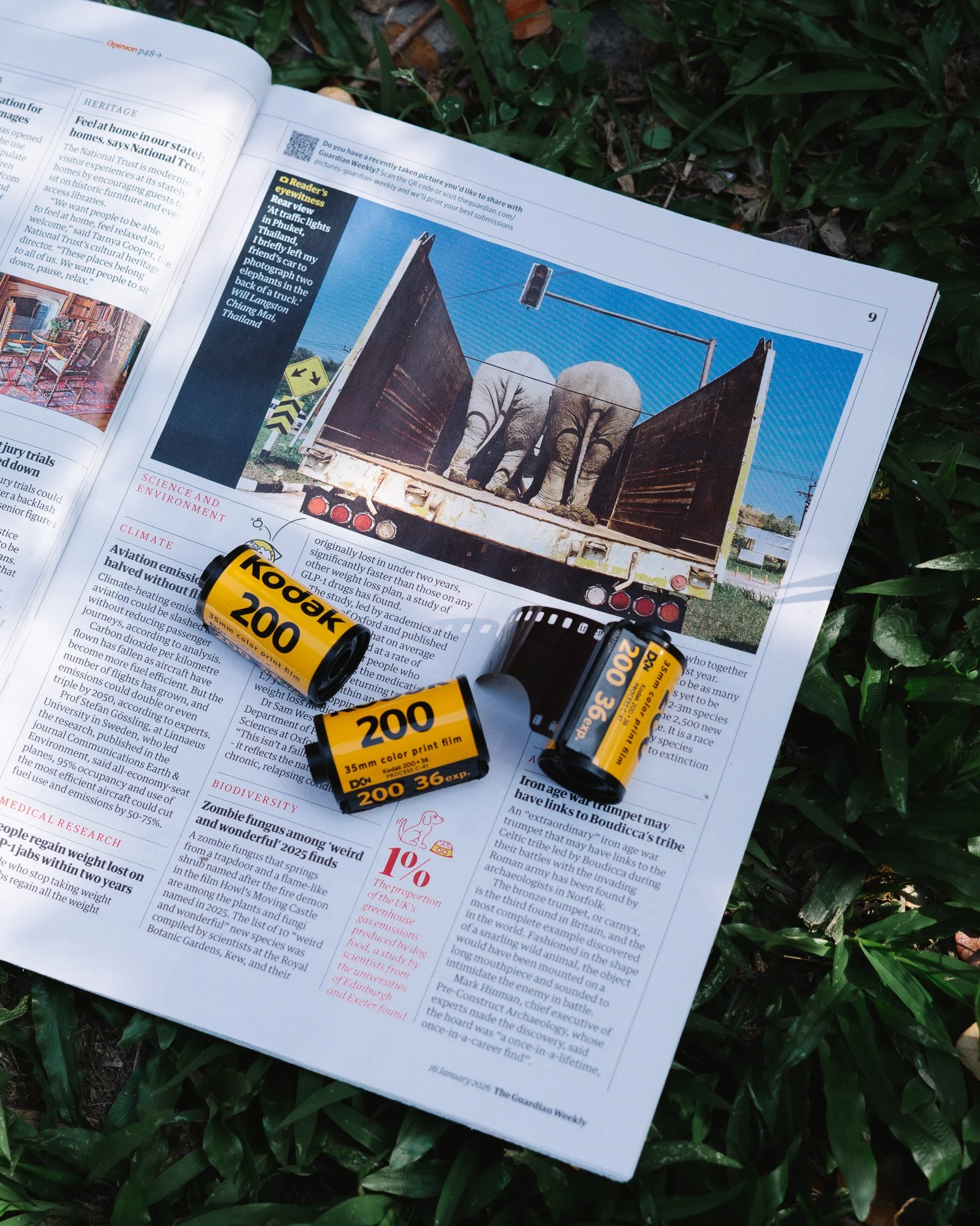 Open magazine with an article and a photo of elephants in a truck, surrounded by greenery. Three Kodak 200 color film rolls are placed on the magazine.