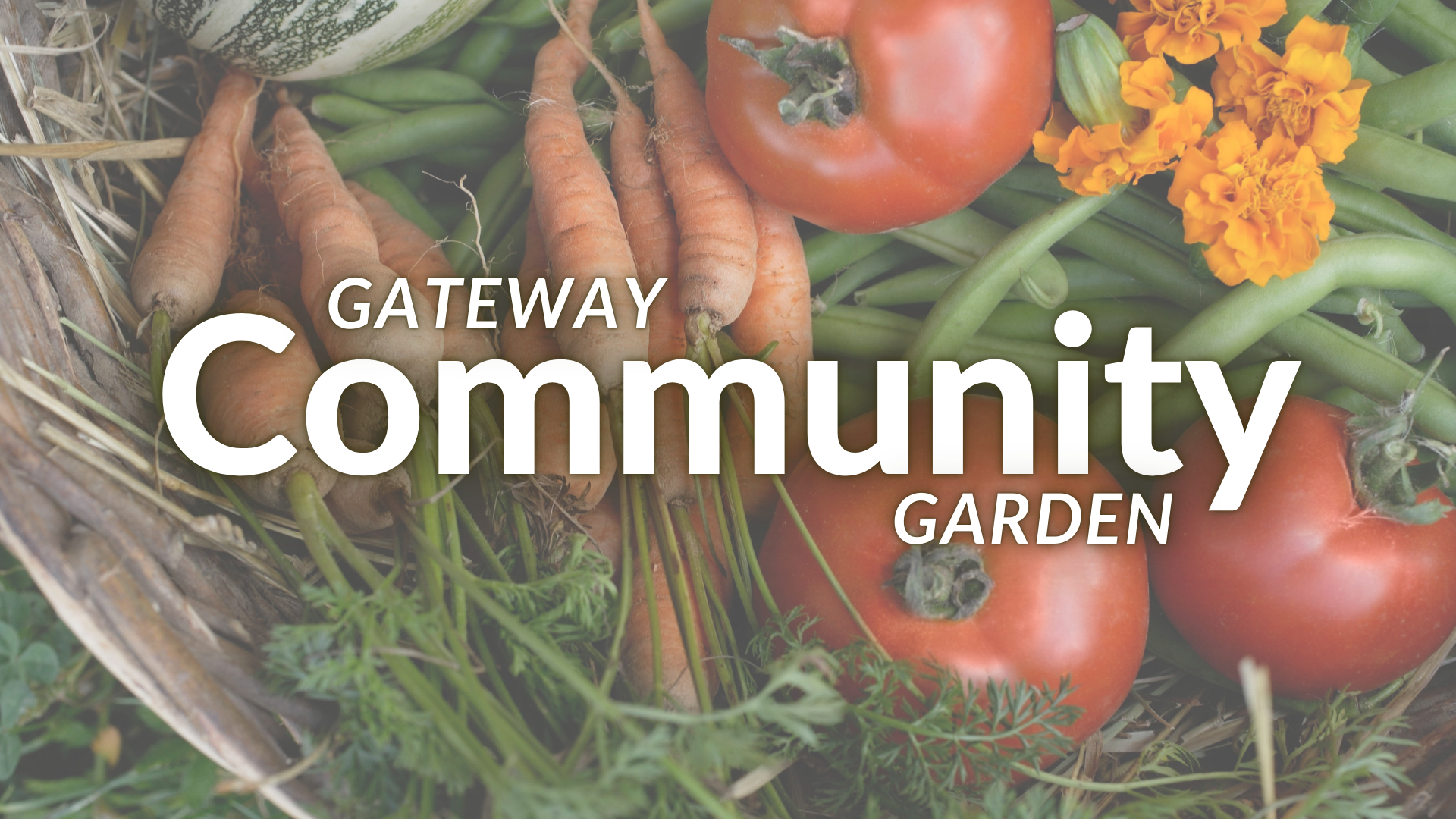 Gateway Community Garden