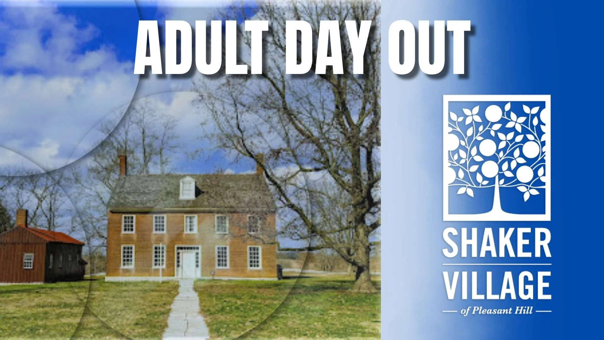 ADO: Shaker Village