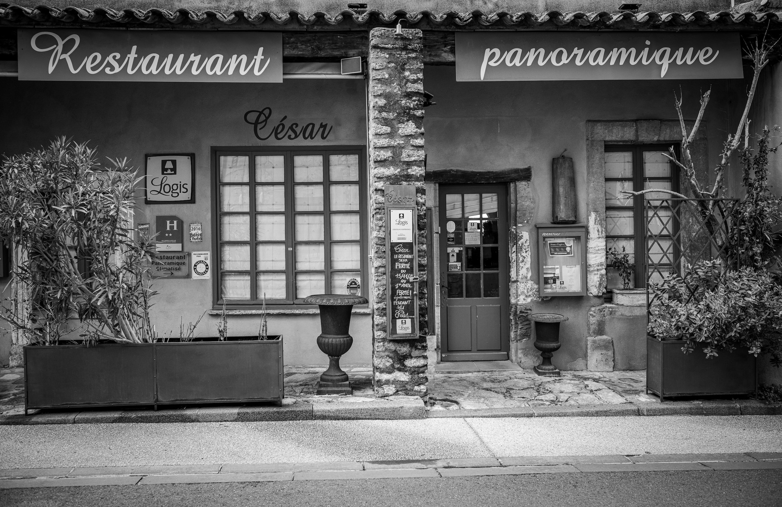 When the Vineyards Hibernate and So Do We.