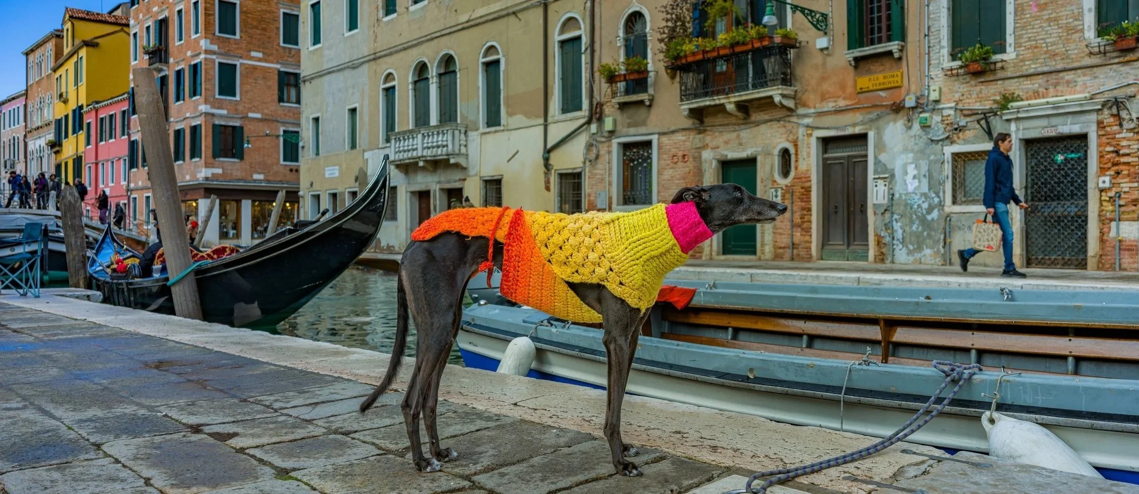 A black dog wearing a colorful knitted sweater stands on a stone dock beside a canal in Venice, Italy. In the background, colorful buildings with balconies and flowers, a gondola, and a woman walking along the canal can be seen.