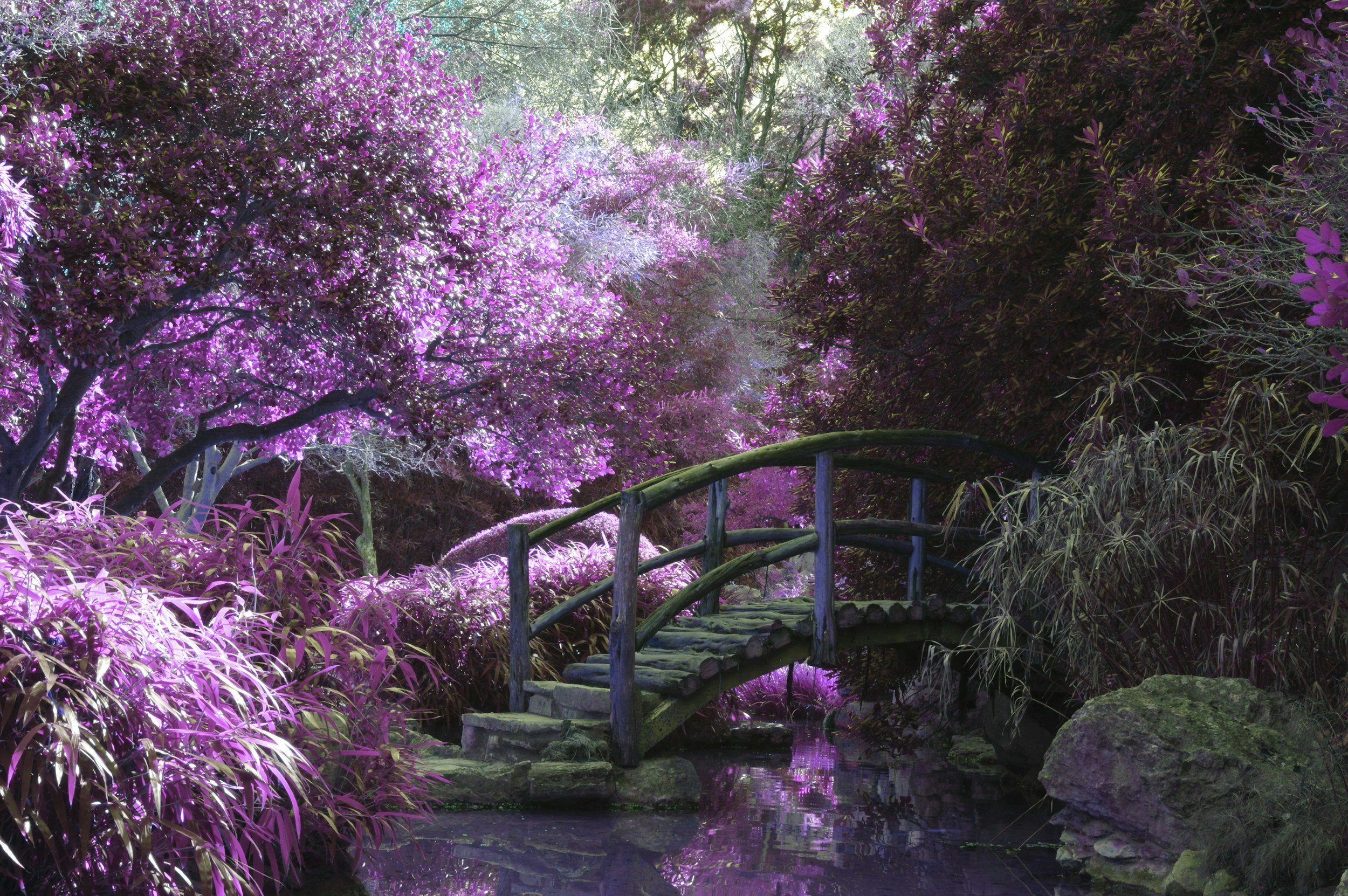 Revelation 22: A New Eden and Eternal Fellowship