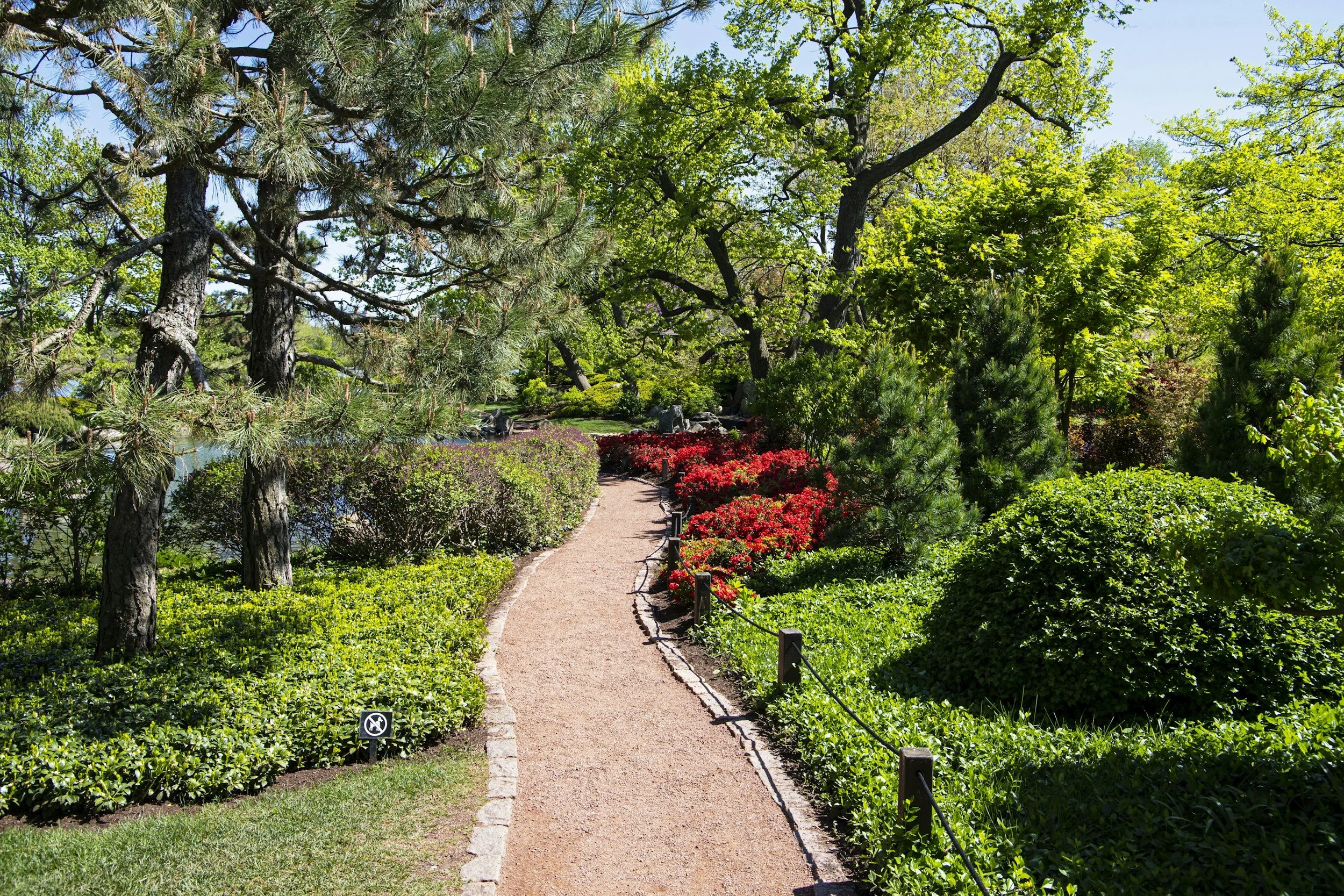 Walking in Prearranged Paths