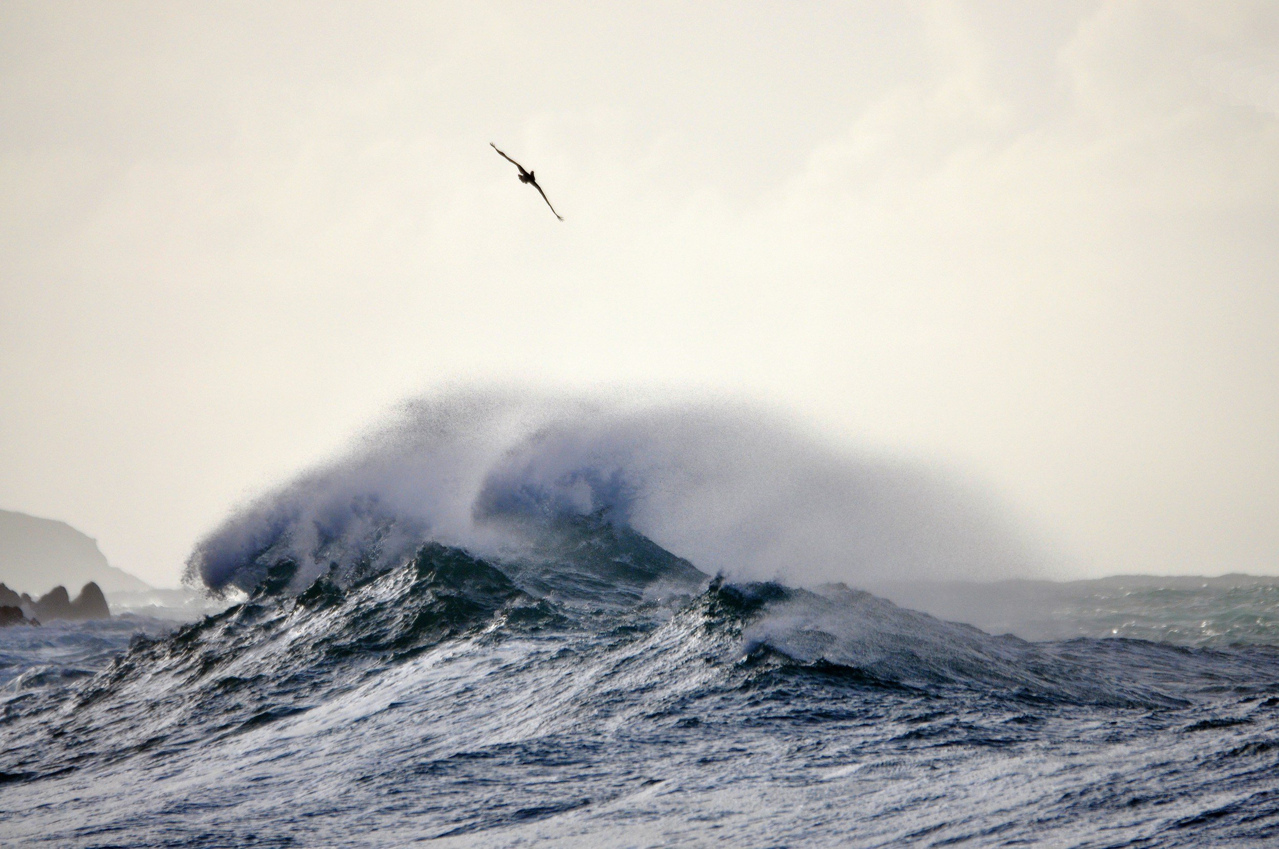 Praying Without Ceasing: A Daily Habit of Trust