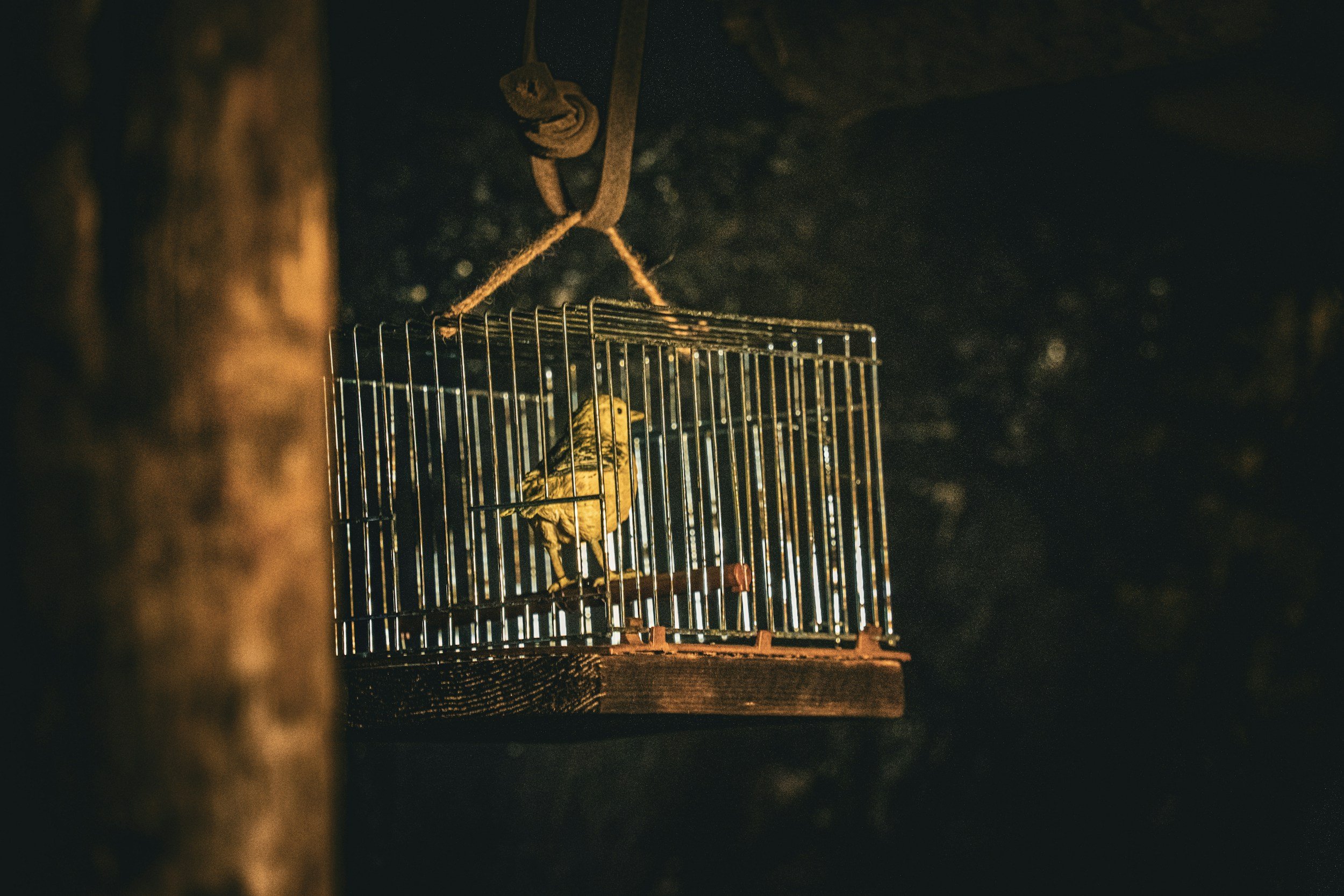 Living in the Garden of Grace: Stand in Your Freedom