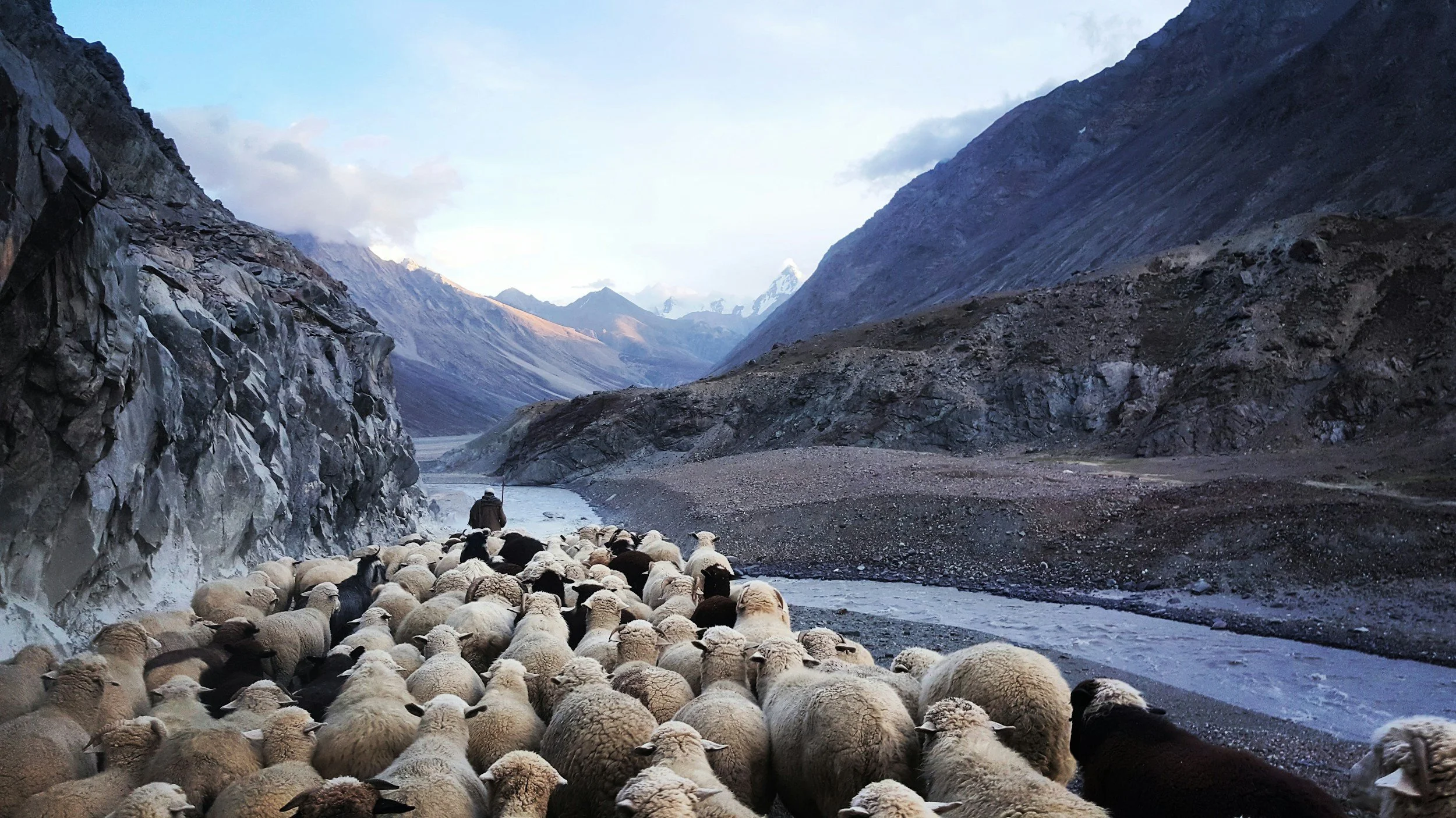 The Dilemma of Obedience: When God Calls You to Speak or Stay Silent