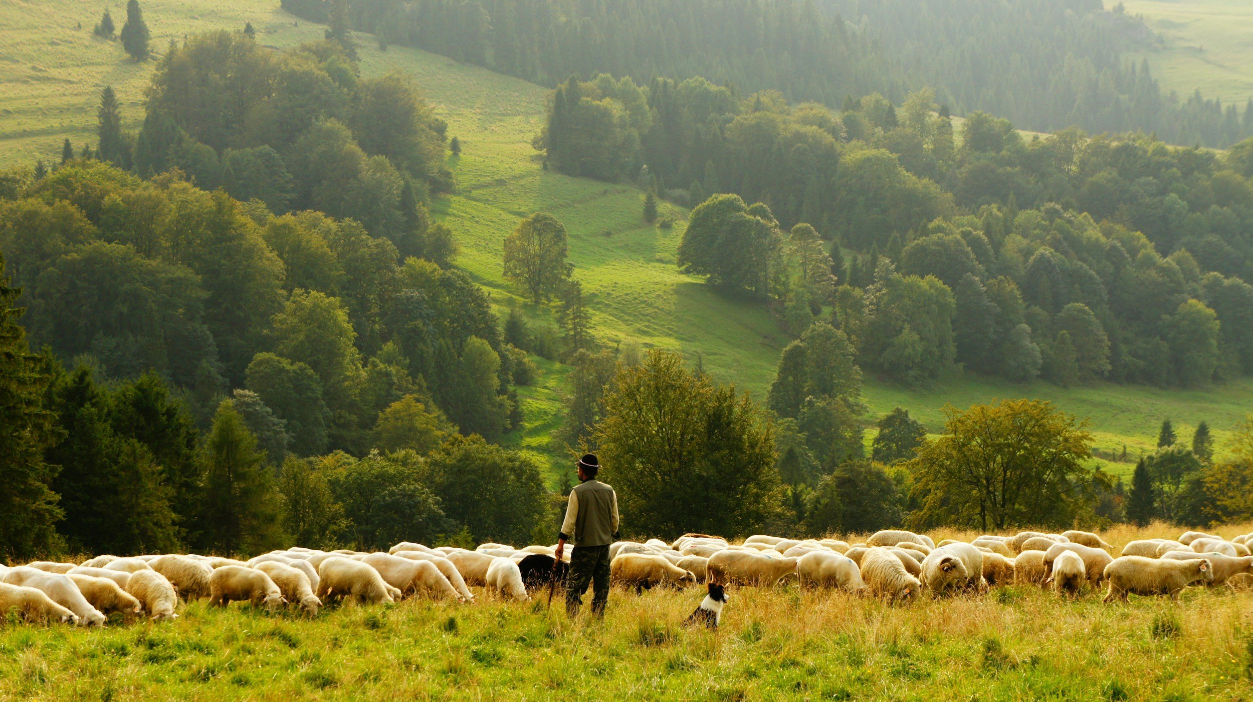 Psalm 28 – He Is Not Silent, and I Am Not Alone
