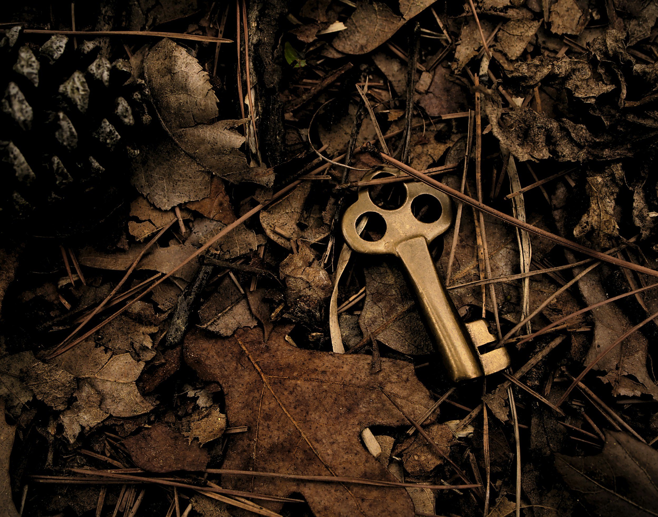 The Fork in the Path: Where Death Meets Life