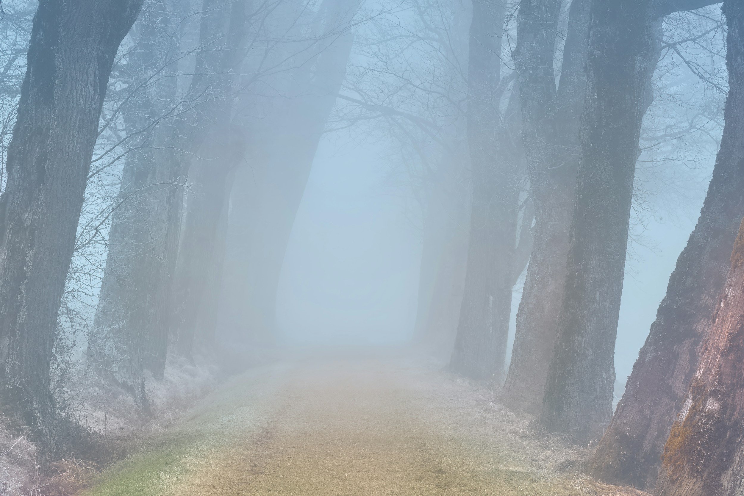 When the Emotional Mist Clears: Choosing the Abiding Life Over the Flesh