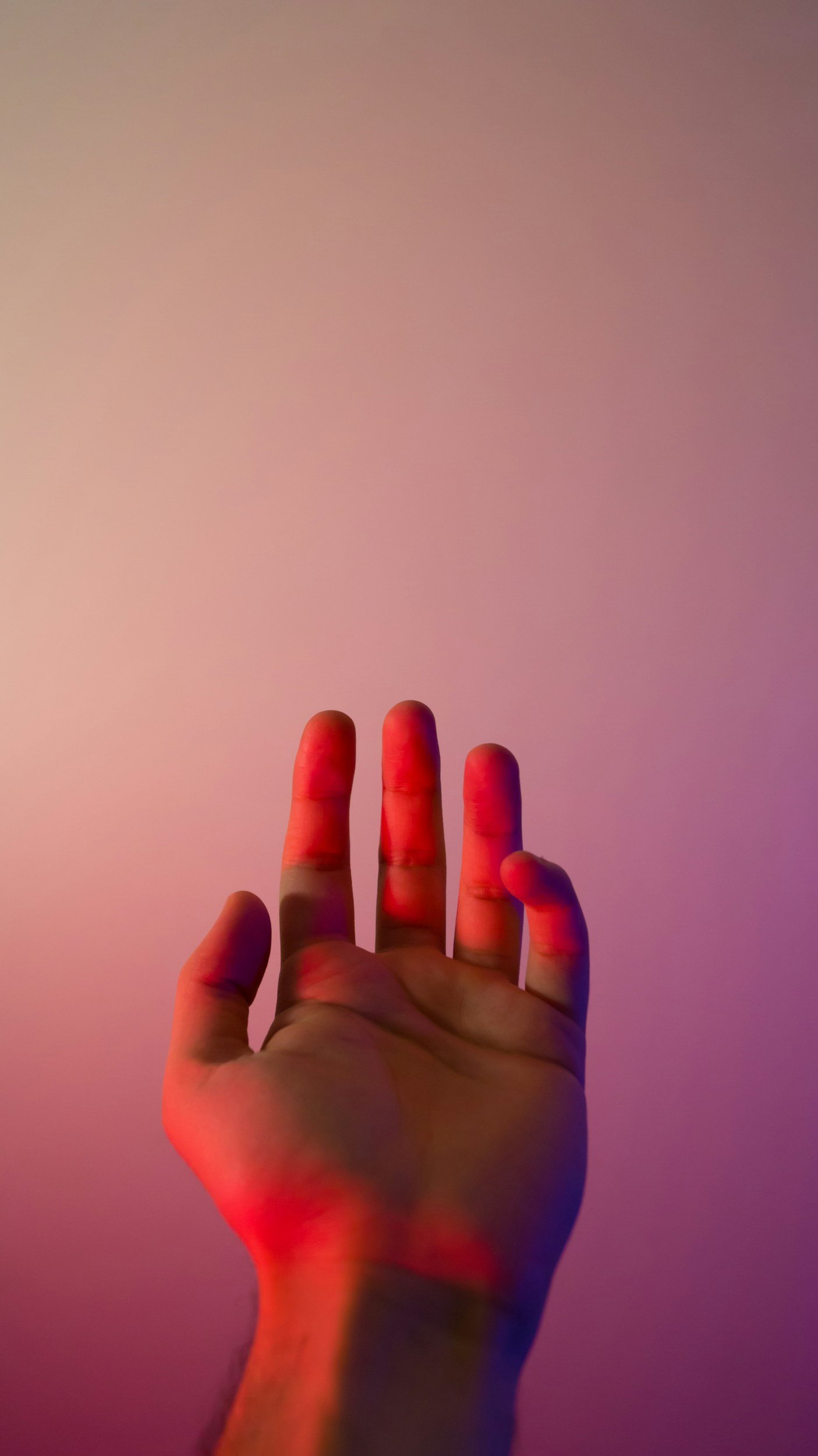 🛎 Empty Hands, Full Inheritance