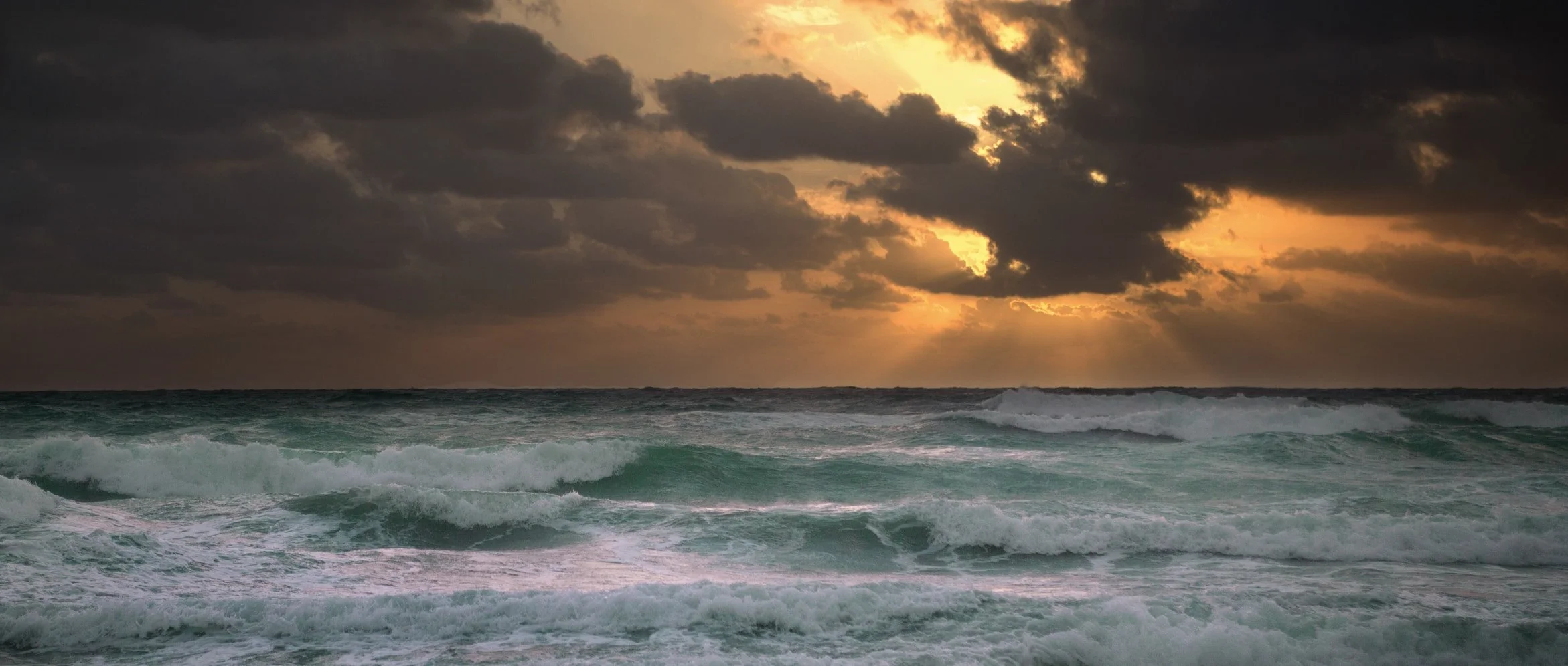 Safe in the Storm's Wake