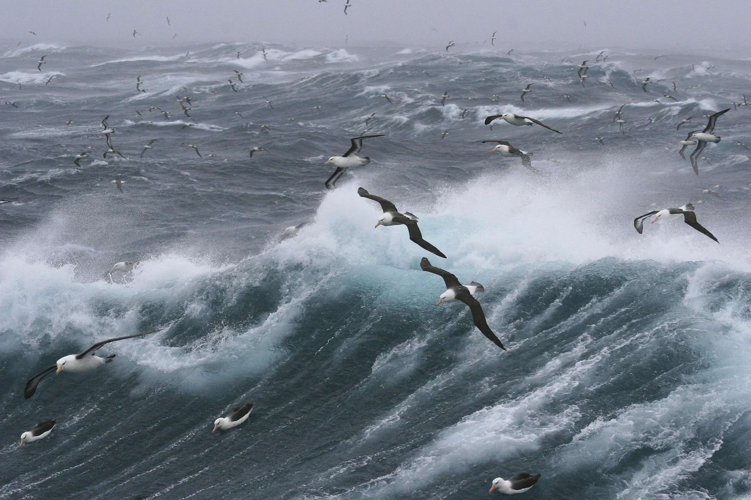 Trusting Jesus in the Middle of the Storm