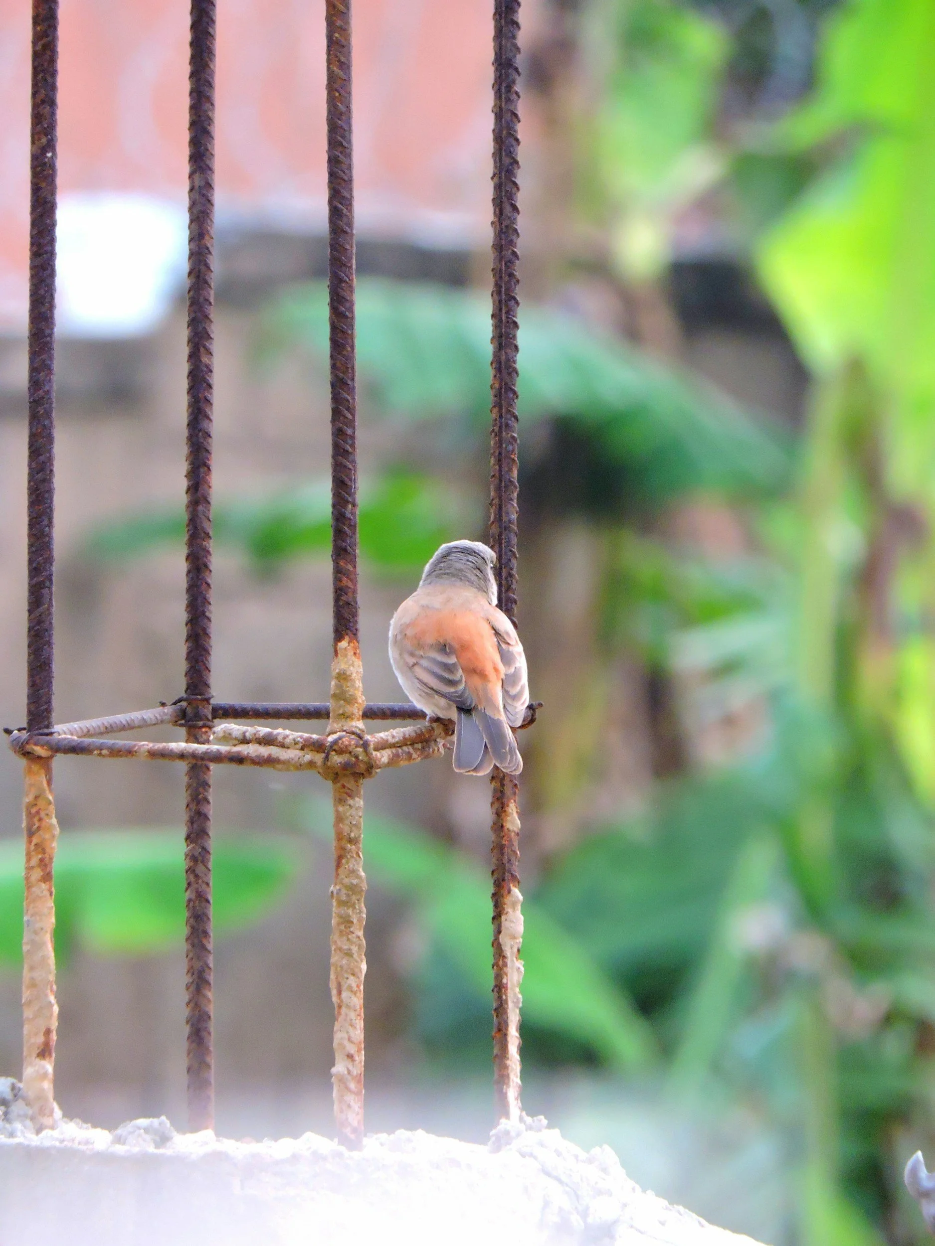 Alive to God, Free from Sin’s Grip