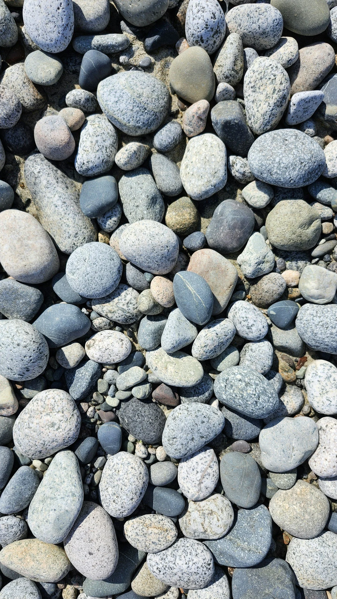 The Promise Hidden in Humility
