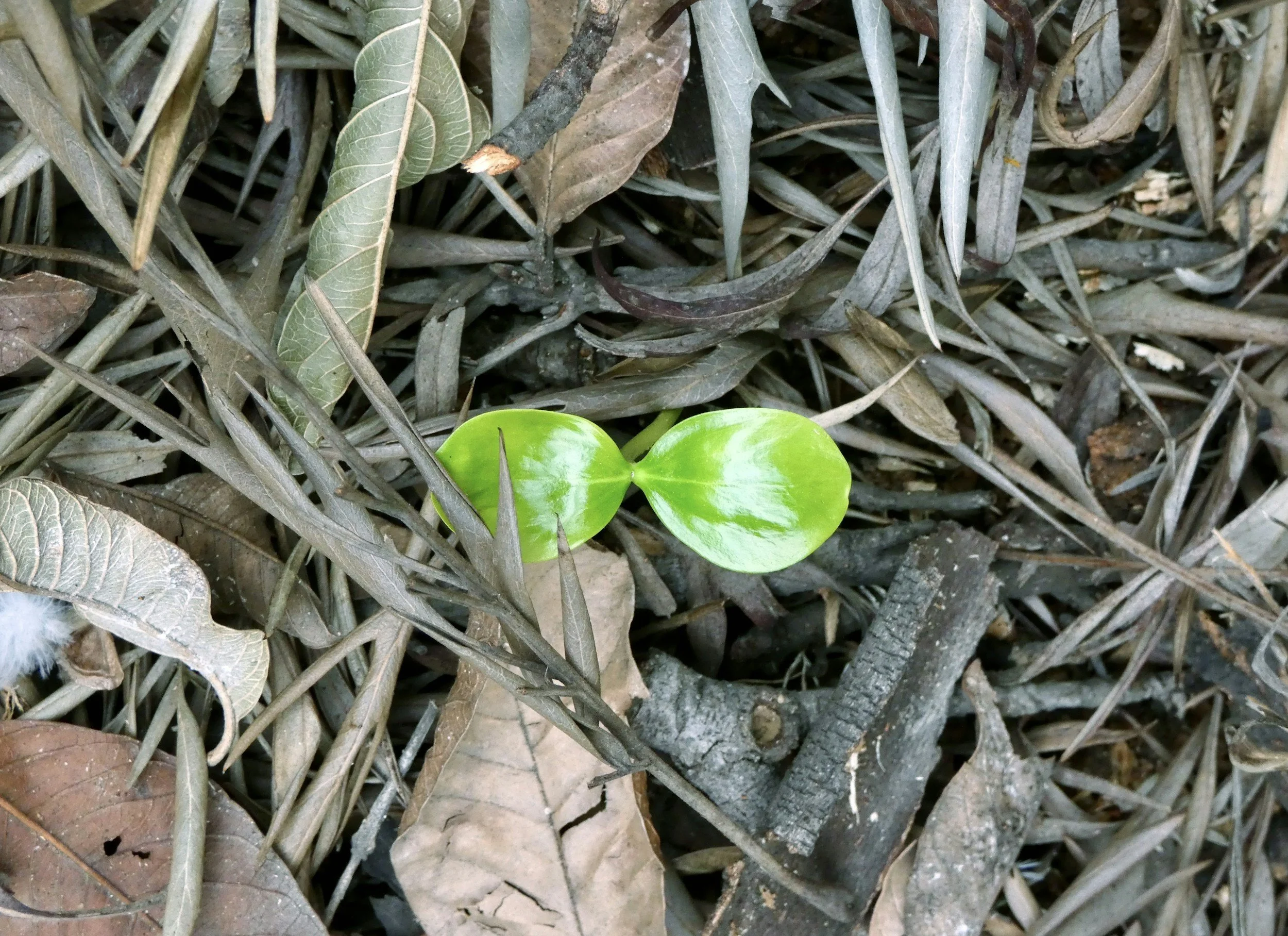 The Hope That Transforms
