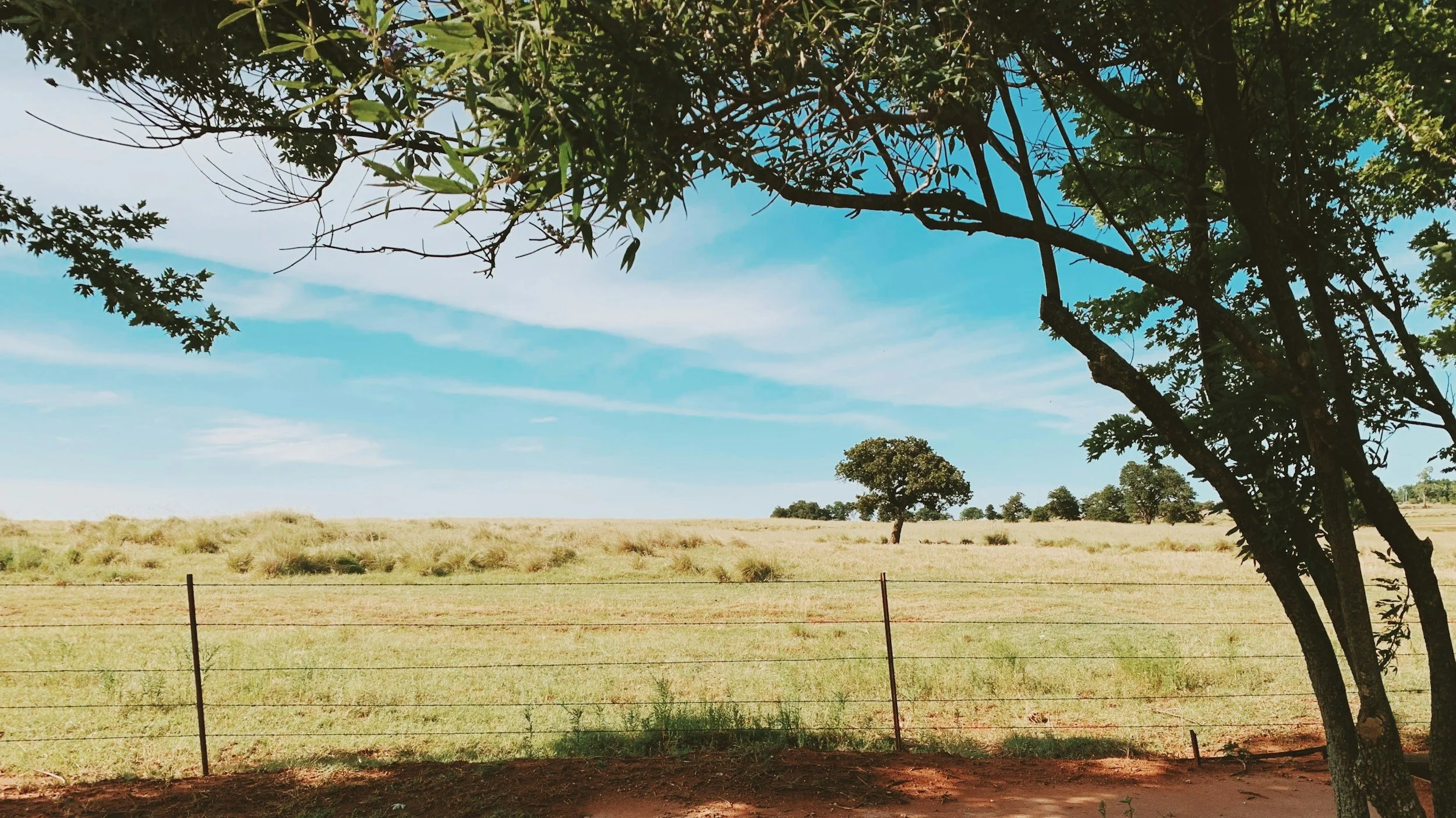 The Joy of Being Fully Known and Fully Forgiven