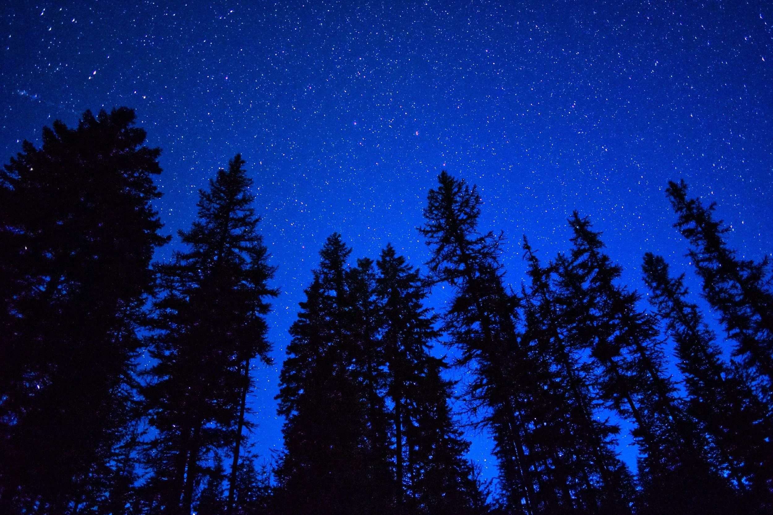 Counting Stars, Trusting Jesus