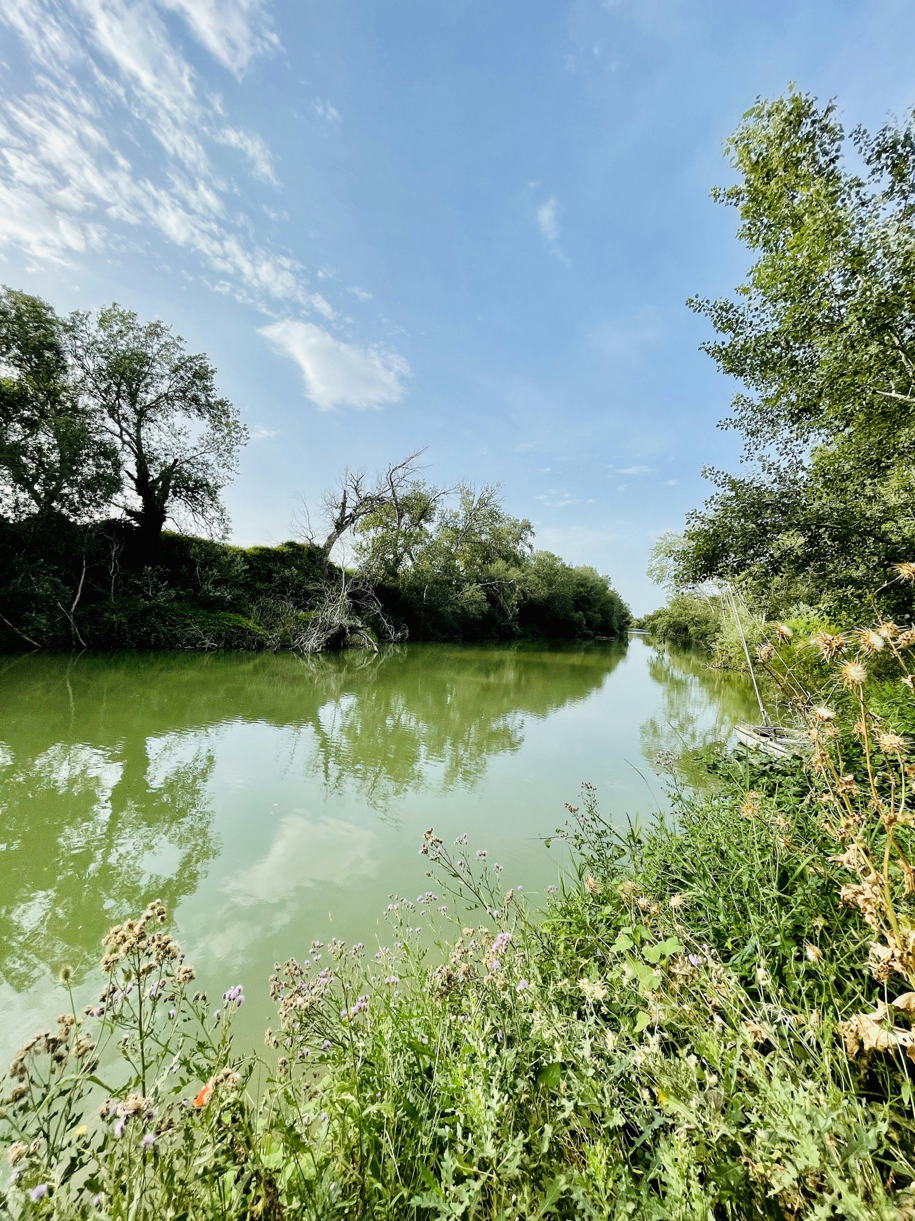 If You Find Yourself Still Learning How to Rest