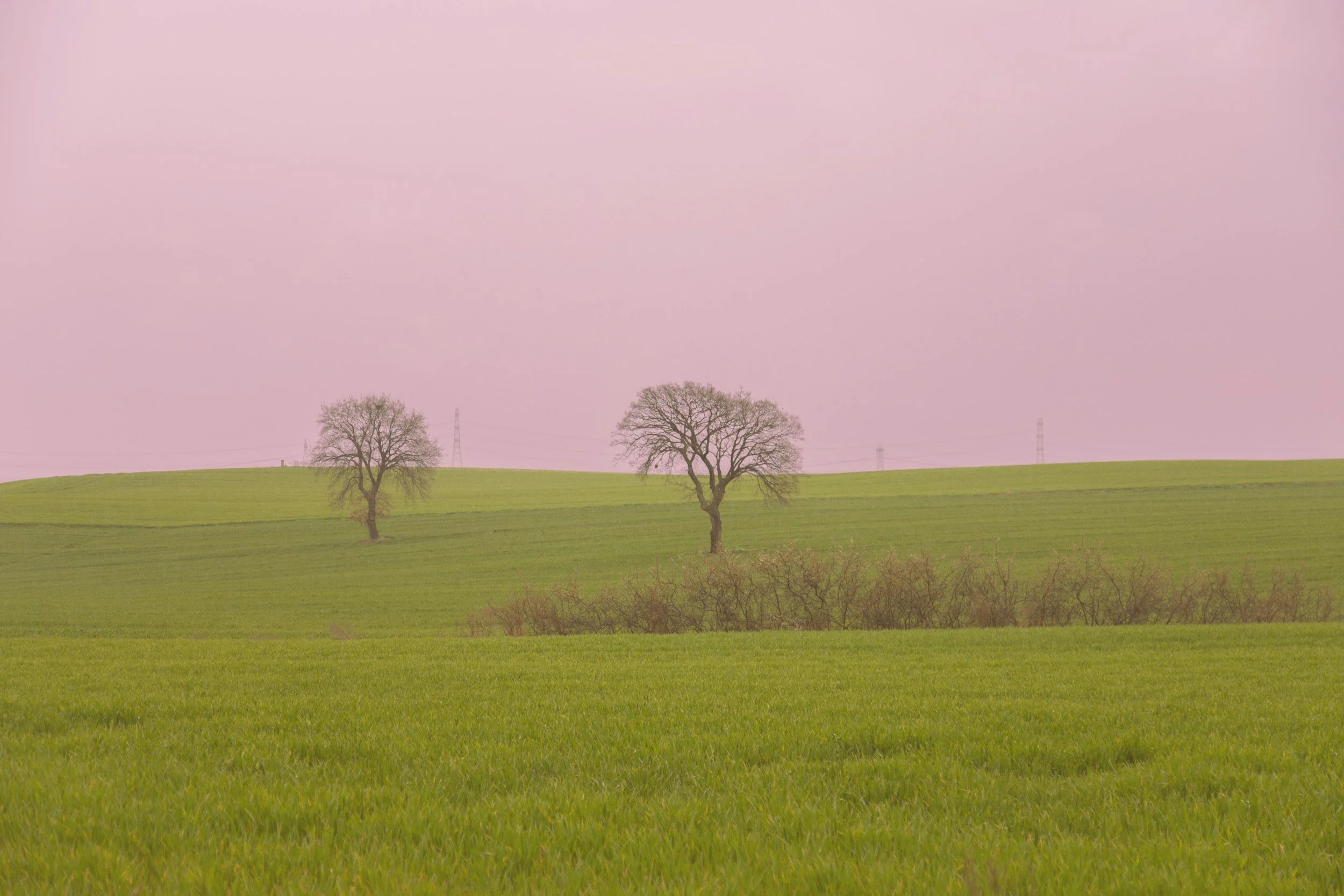 Where Mercy Meets Finality: How the Question of Salvation and Death Intersects with God’s Character