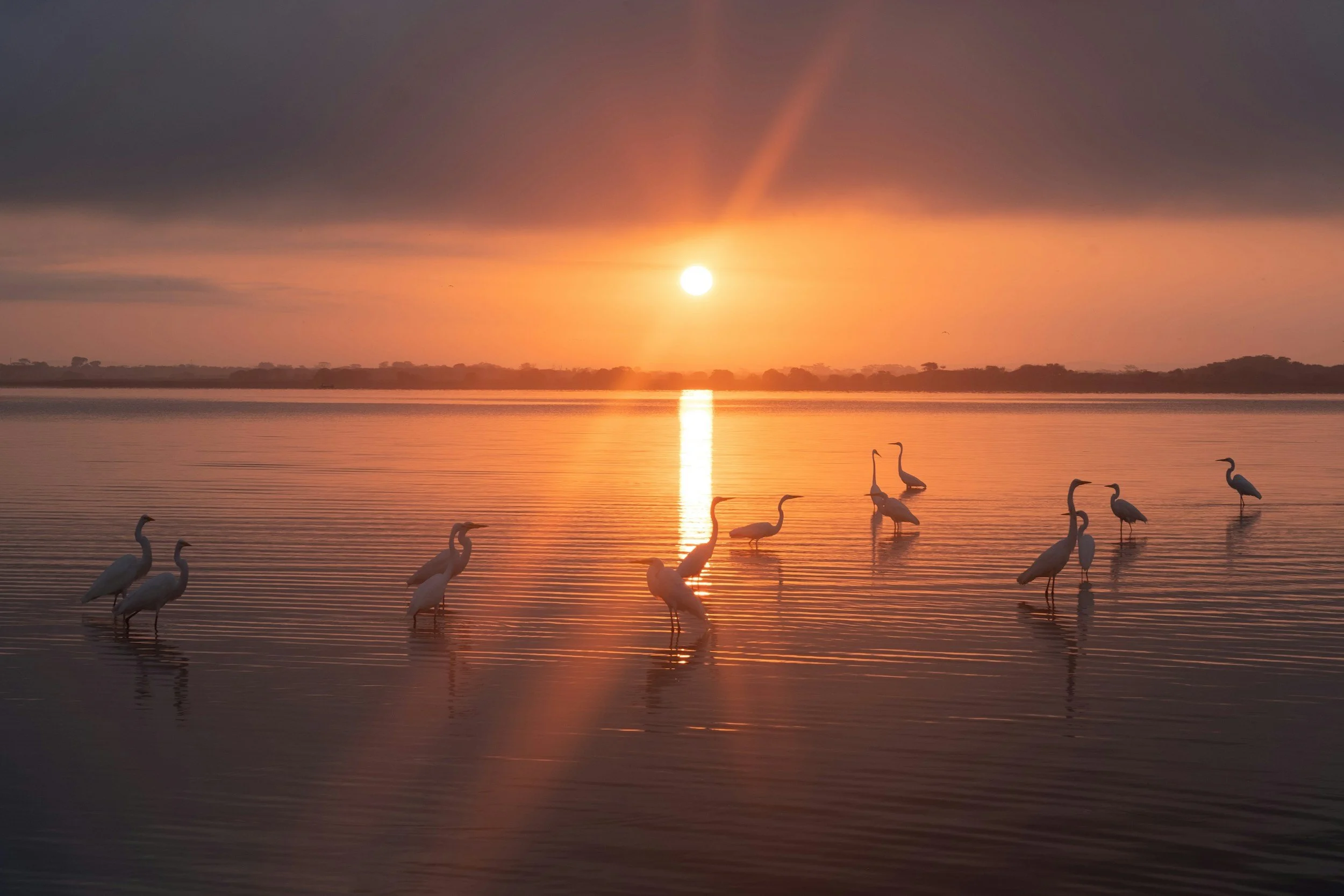 Raised With Christ: Your New Life —Romans 6:8–11