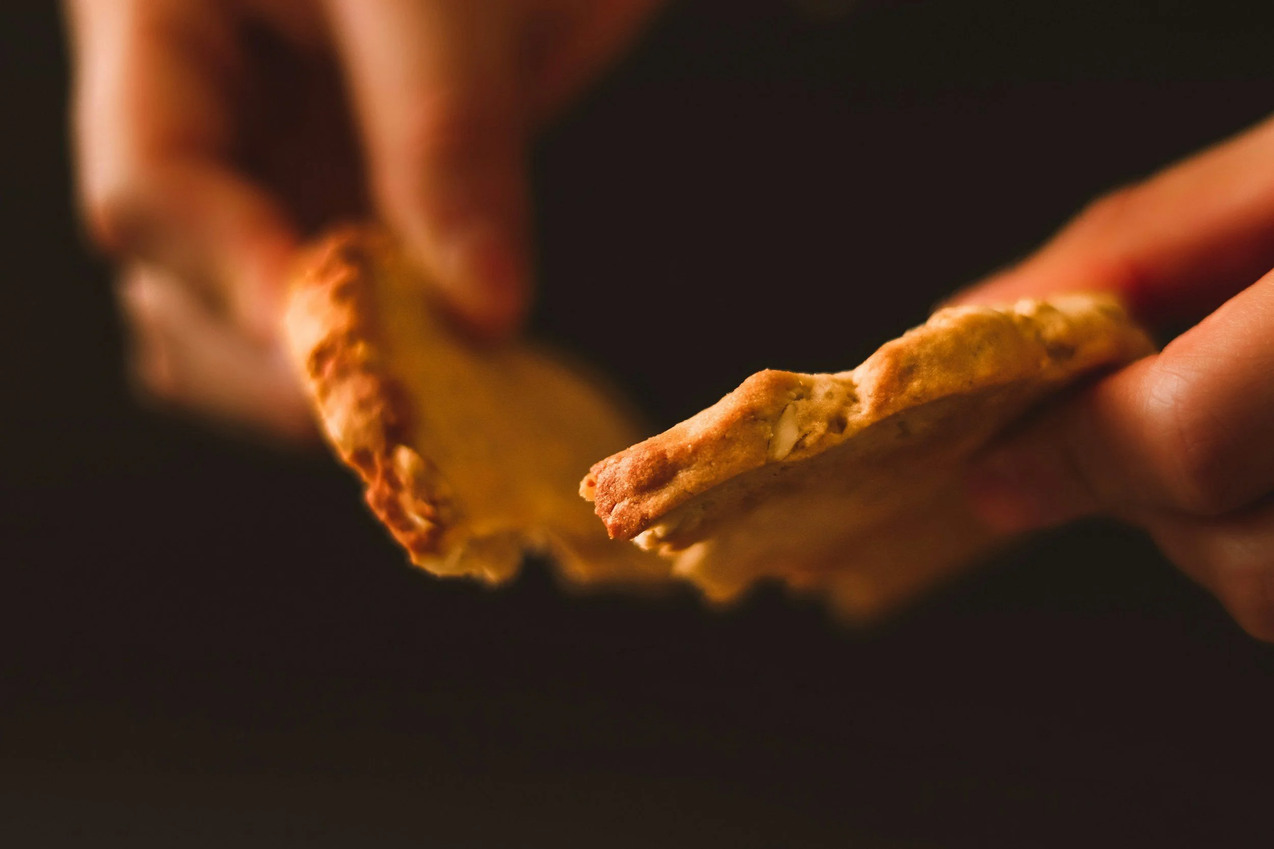 RCC Catechism Study Series, The Eucharist, Part 3 Examine Yourself, Then Eat, Reverence Without Fear