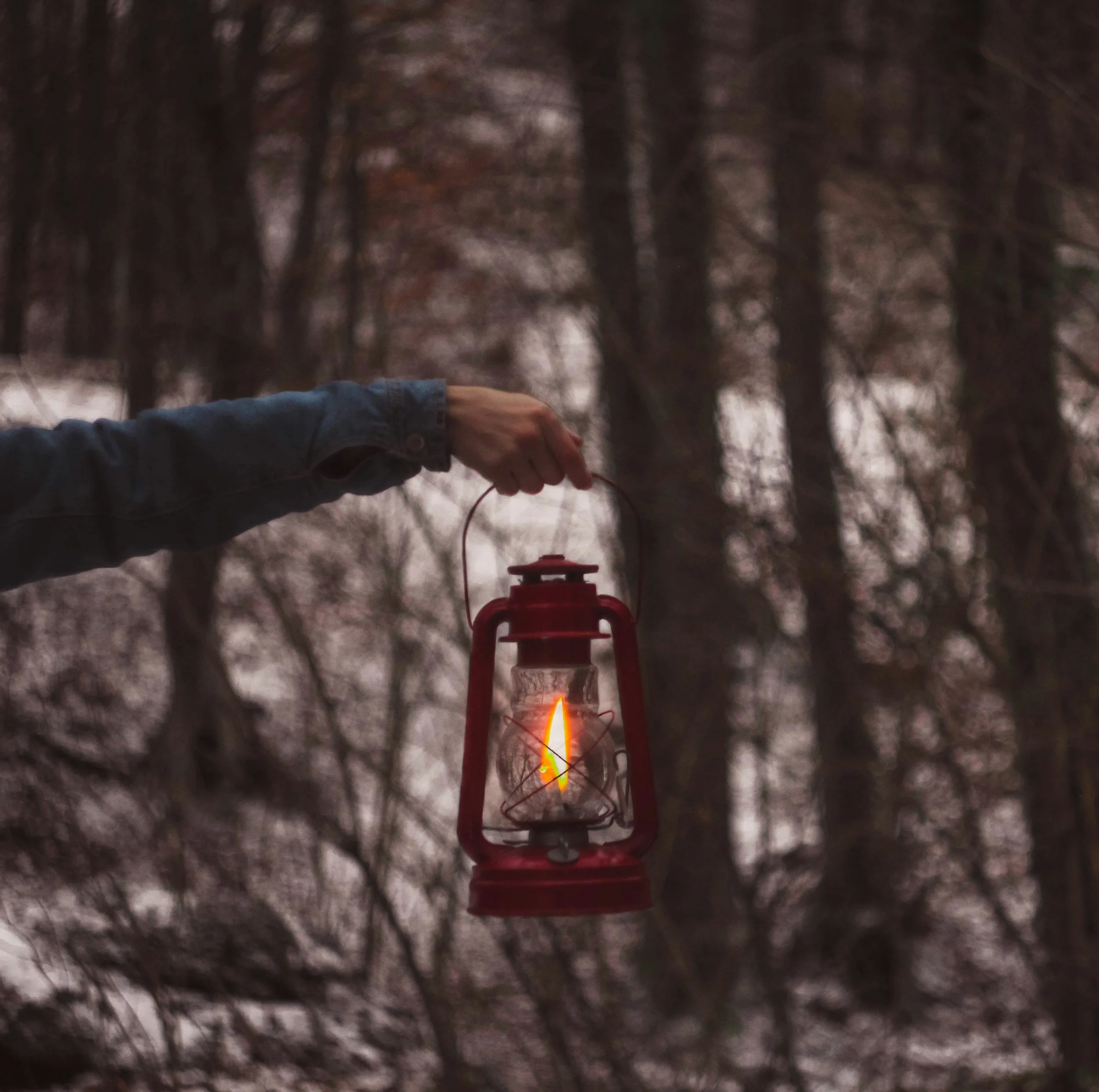 Psalm 43: When Hope Speaks to the Downcast Soul