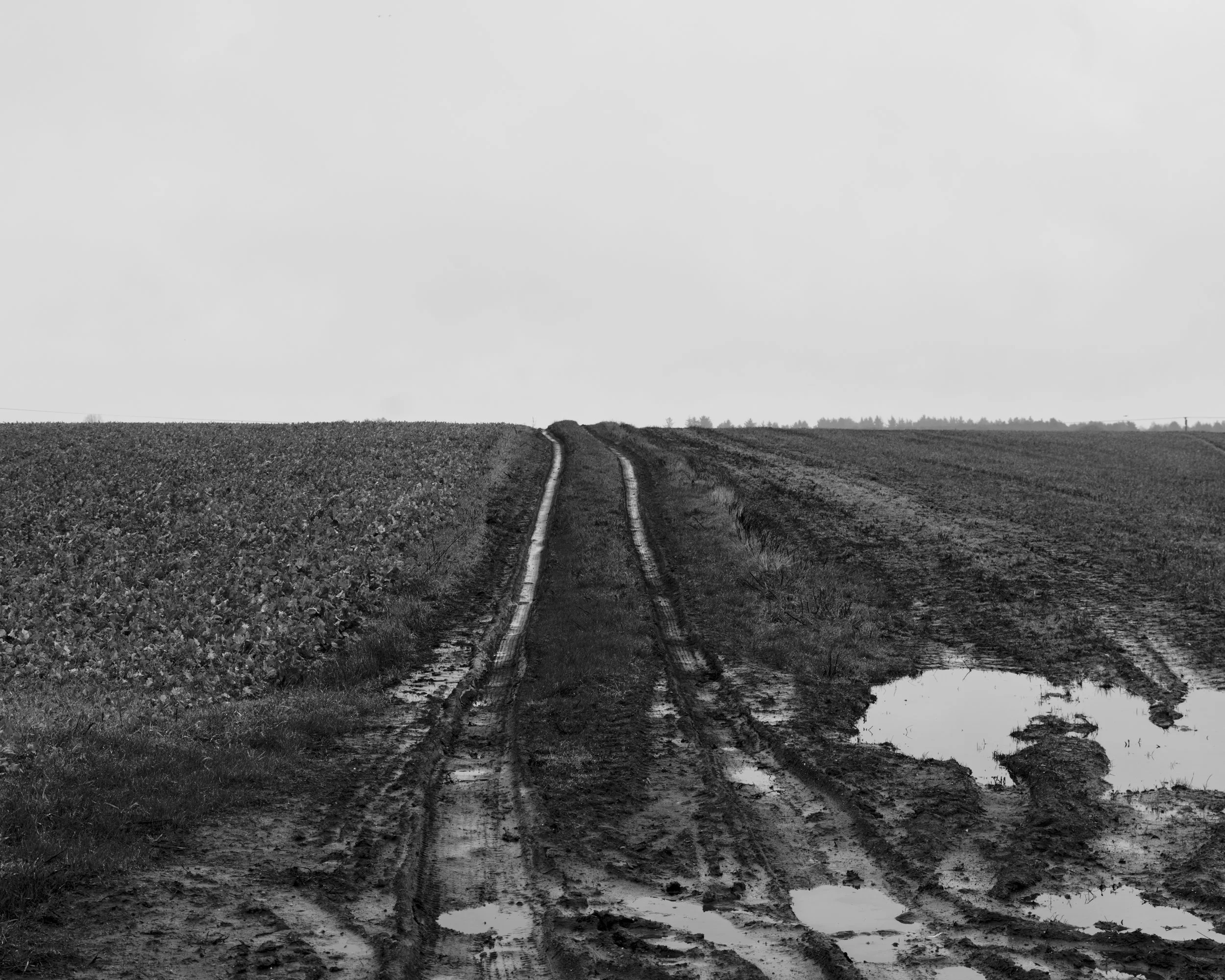 P1064364Borderlands.jpg