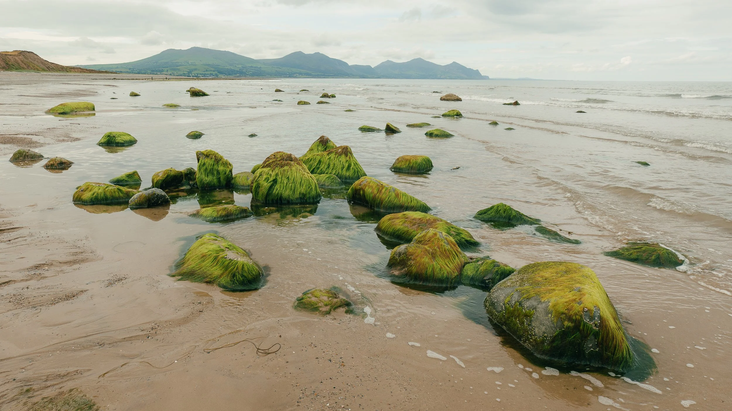 portfolio additions-8.jpg