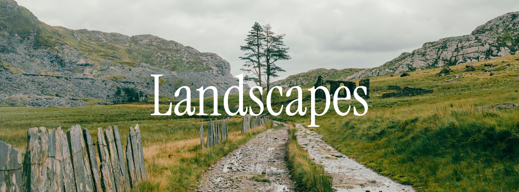 Landscapes gallery.png