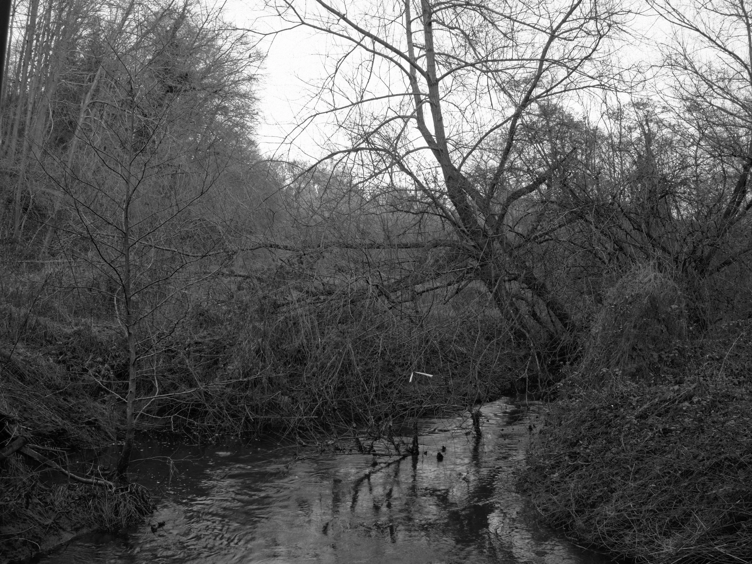 brook dusk.jpg