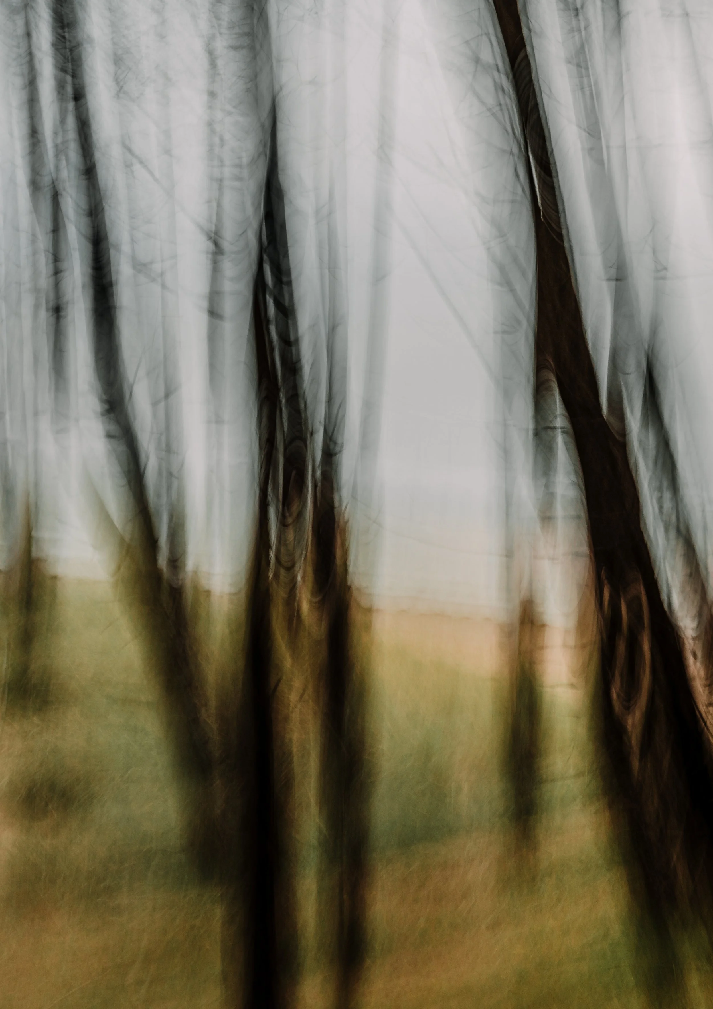 impression of the welsh landscape.jpg