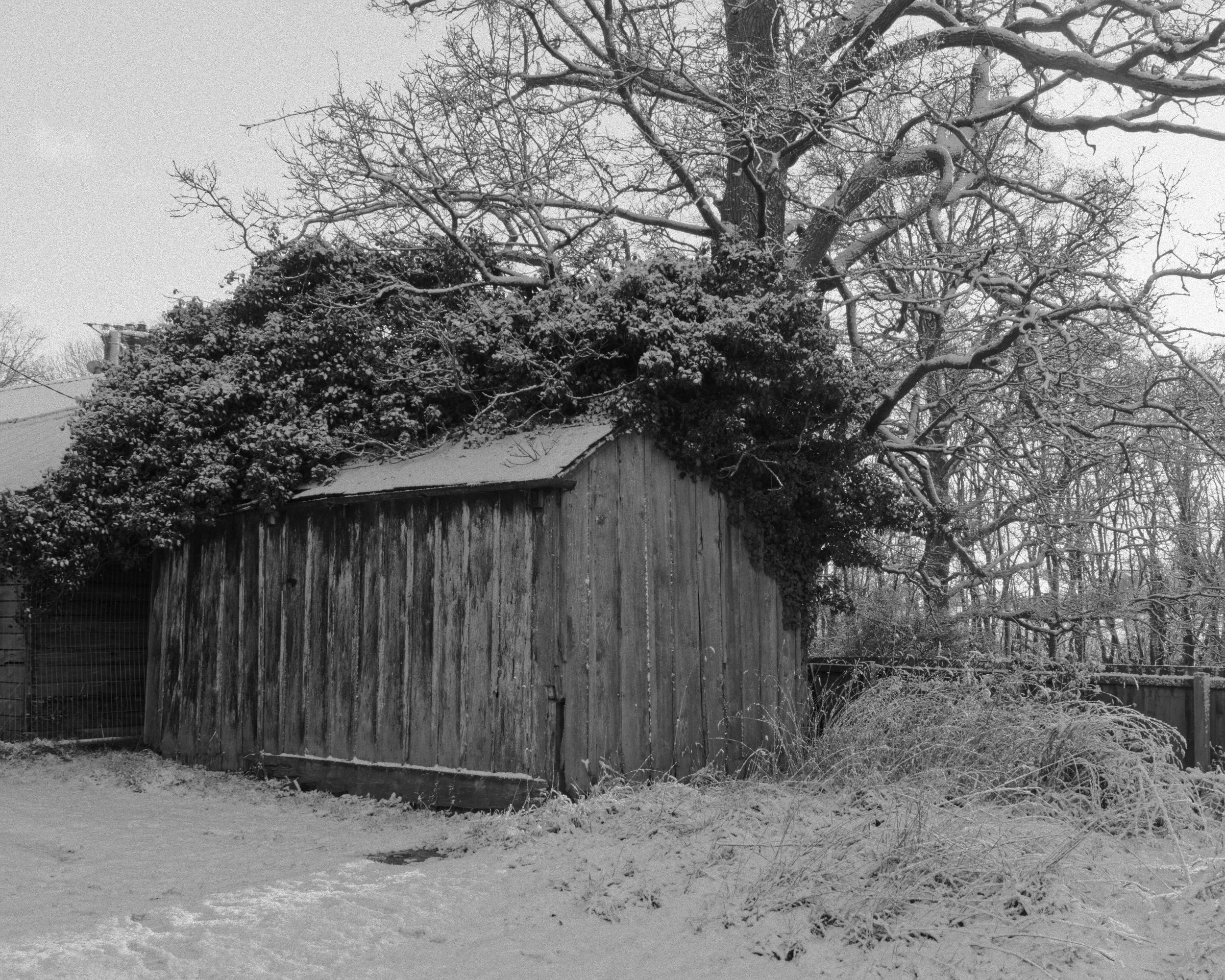 snowy shed.jpg