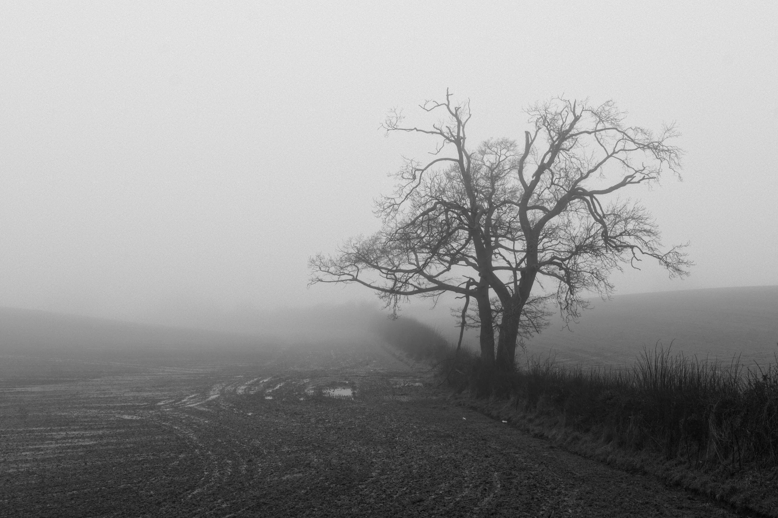 P1064493Borderlands.jpg