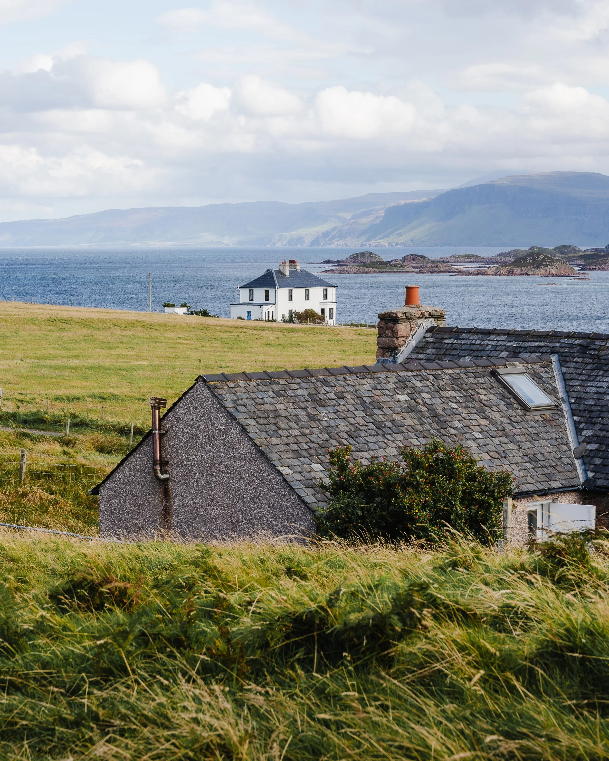 portfolio additions.jpg