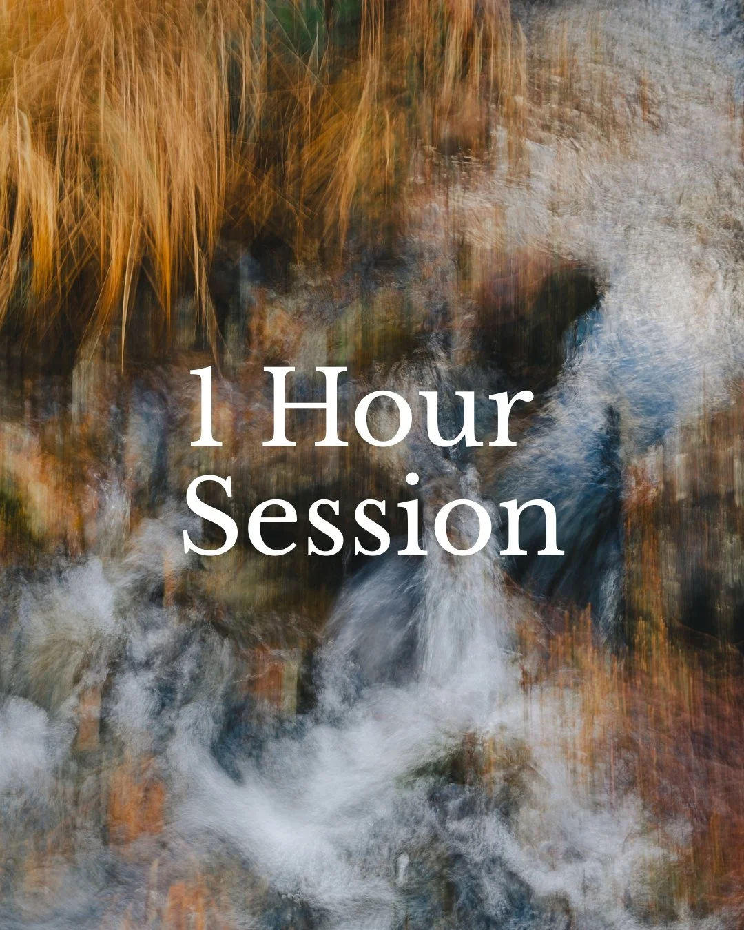 1-to-1 Photography Mentoring Session (1 hour)