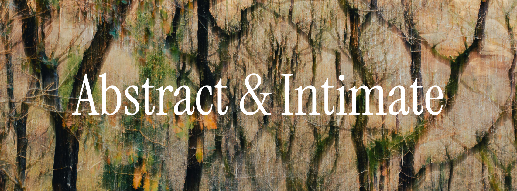 abstract and intimate gallery.png