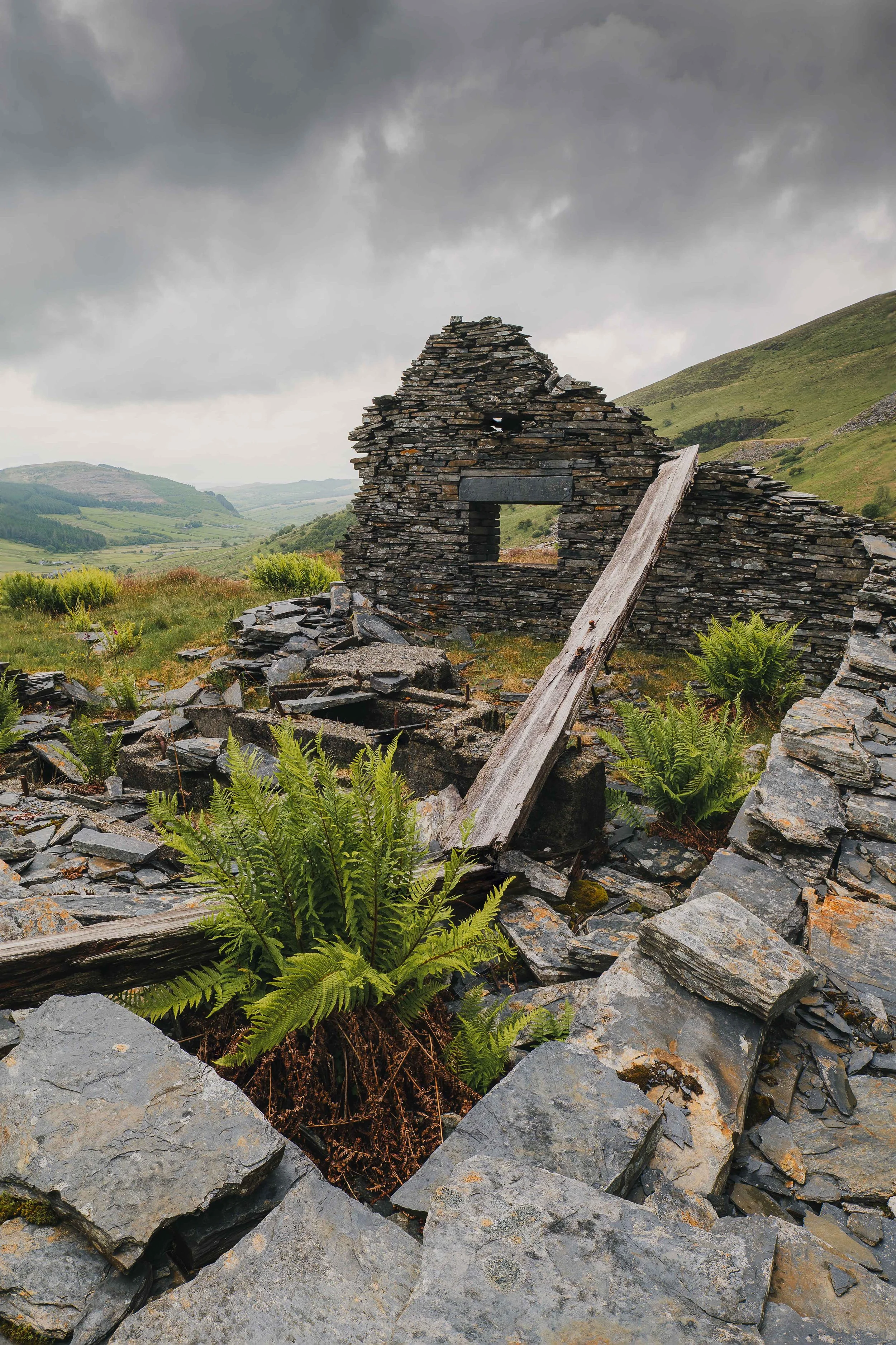 landscape gallery-2.jpg
